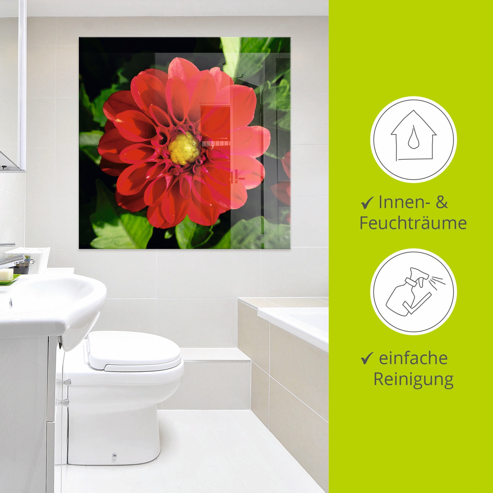 Artland Glasbild »Rote Dahlienblüte«, Blumen, (1 St.), in verschiedenen Grössen