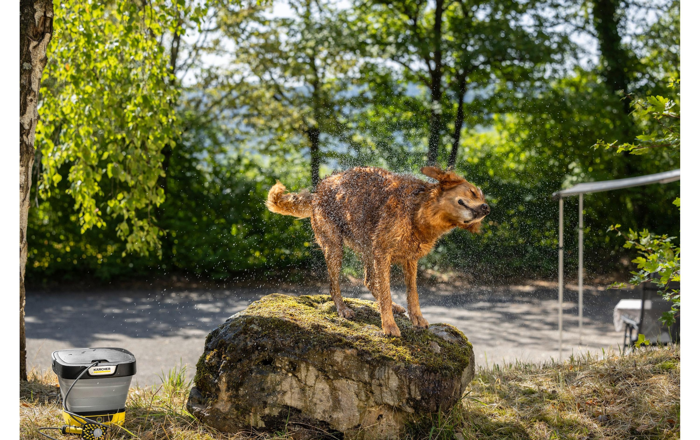 KÄRCHER Bürste »Haustier«