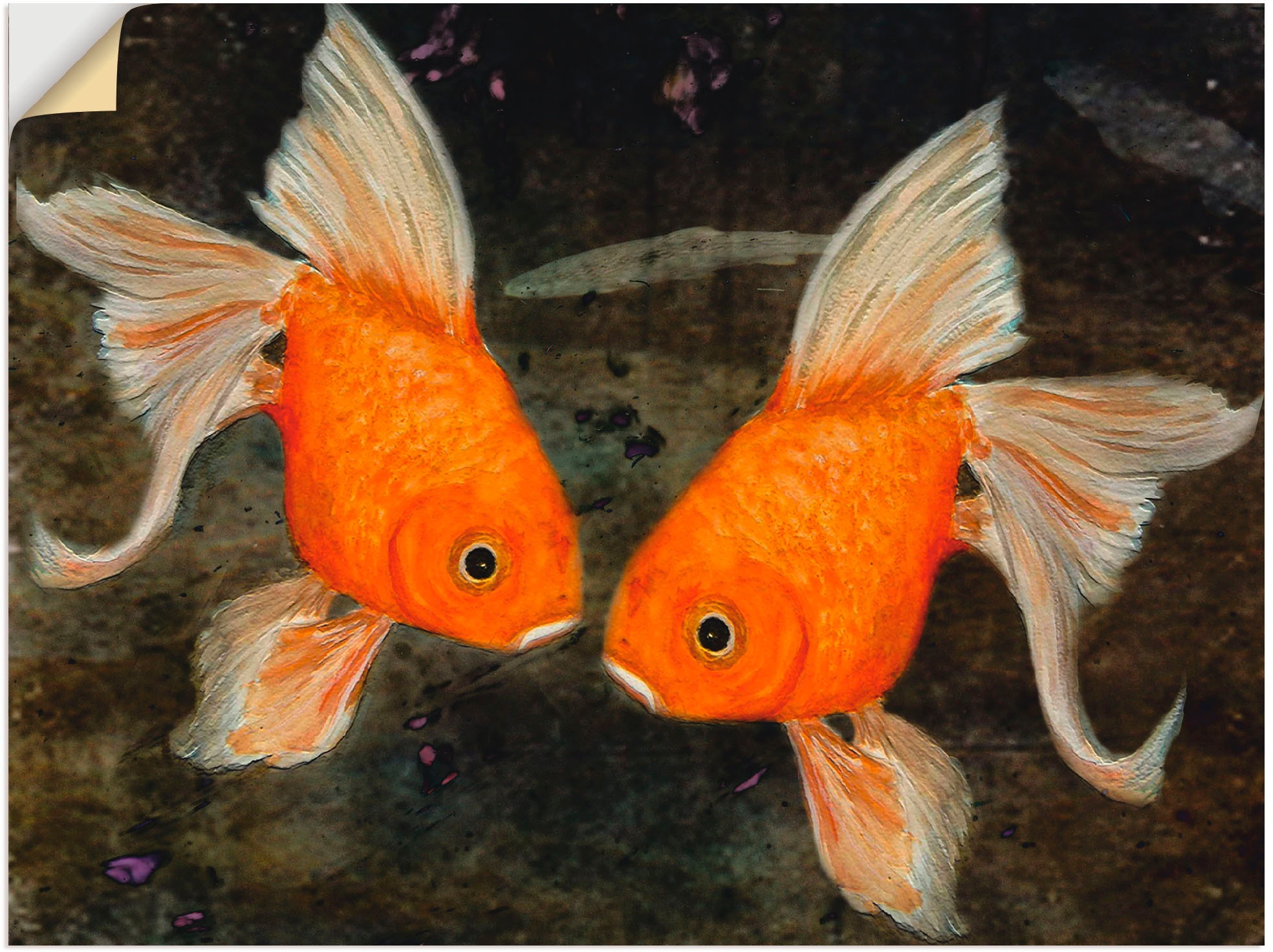 Image of Artland Wandbild »Turtelfische«, Wassertiere, (1 St.), in vielen Grössen & Produktarten -Leinwandbild, Poster, Wandaufkleber / Wandtattoo auch für Badezimmer geeignet bei Ackermann Versand Schweiz