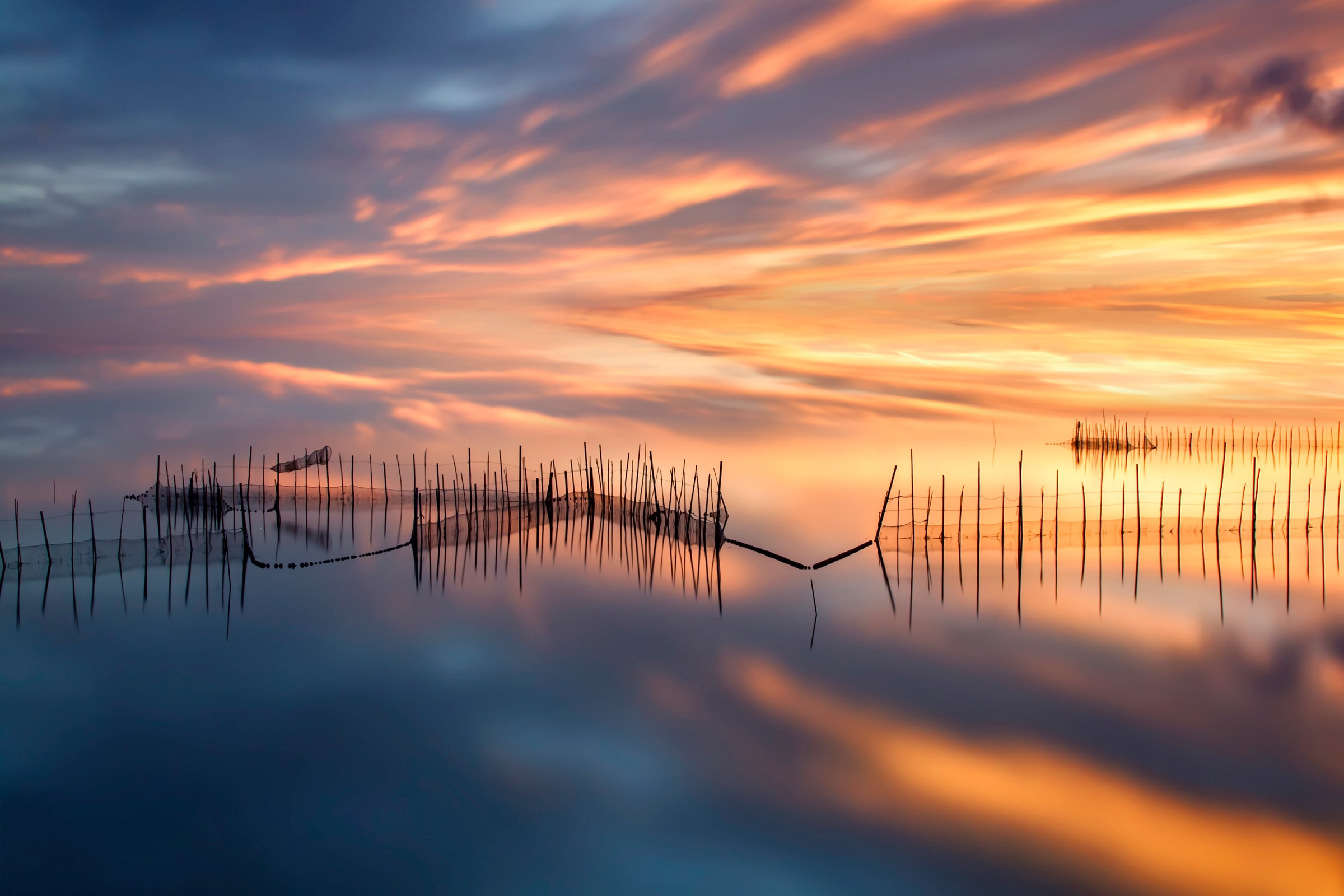 Image of Papermoon Fototapete "Photo-Art JOSE BEUT, FISHNETTEN"