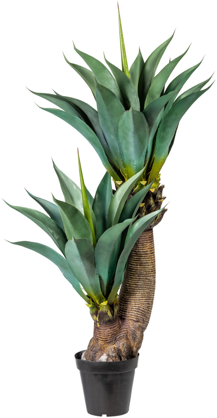 Image of Creativ green Künstliche Zimmerpflanze »Agave«, (1 St.) bei Ackermann Versand Schweiz