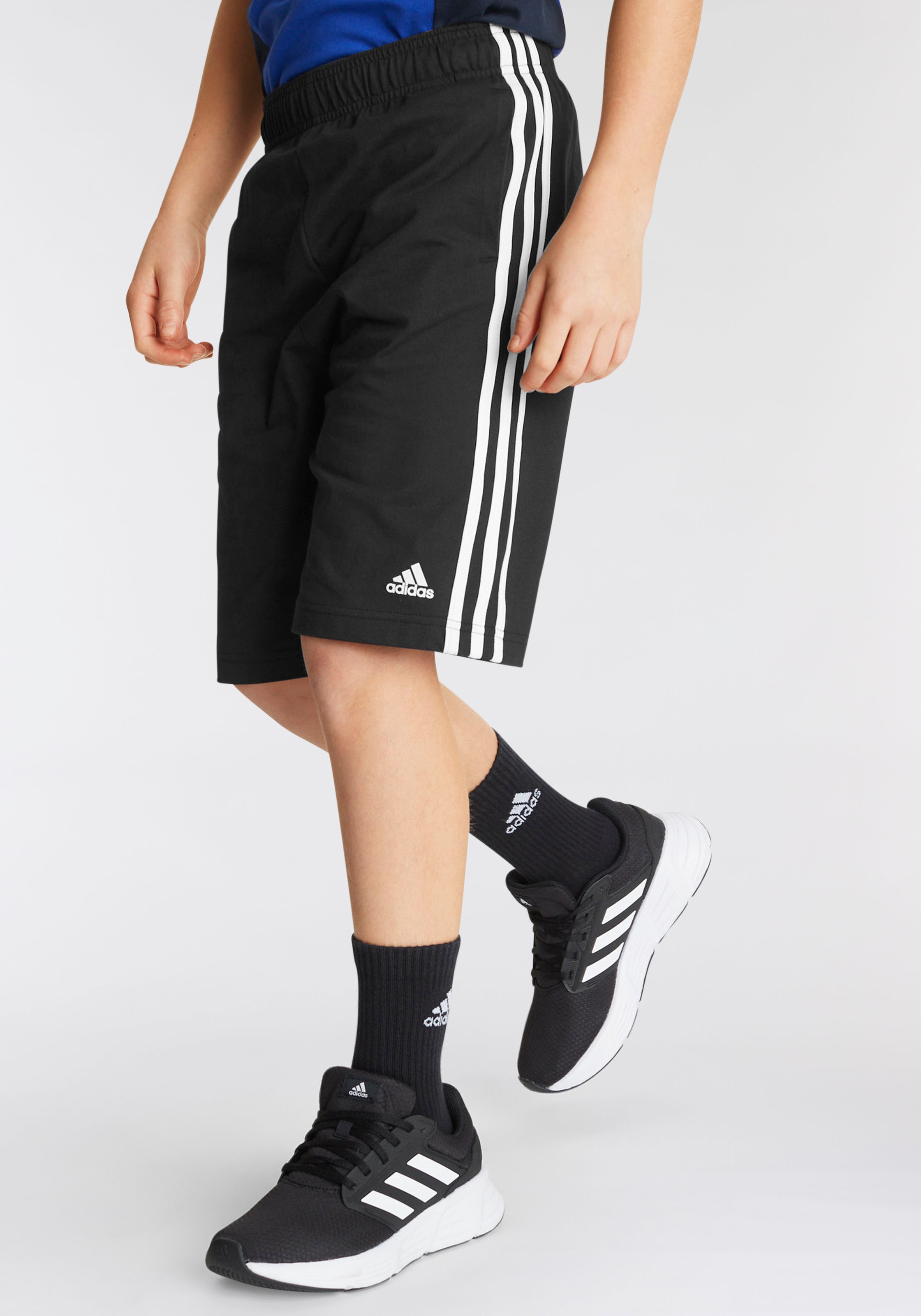 adidas Sportswear Shorts »ESSENTIALS 3-STREIFEN KNIT«, (1 tlg.)