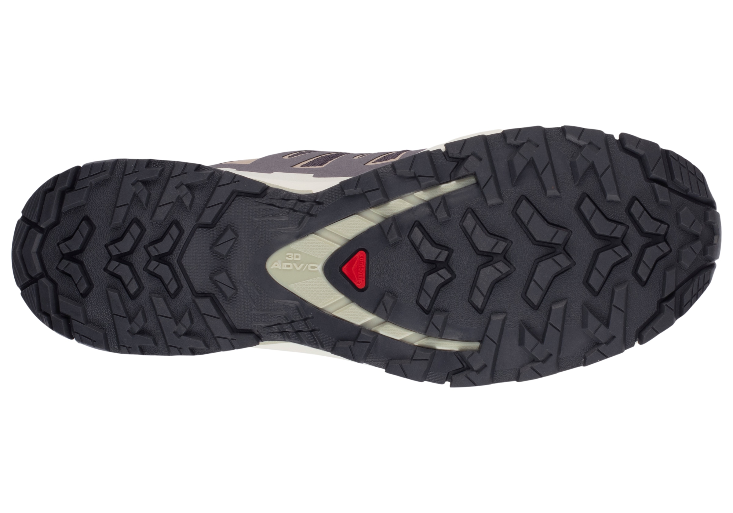 Salomon Trailrunningschuh »XA PRO 3D V9 GORE-TEX W«, wasserdicht
