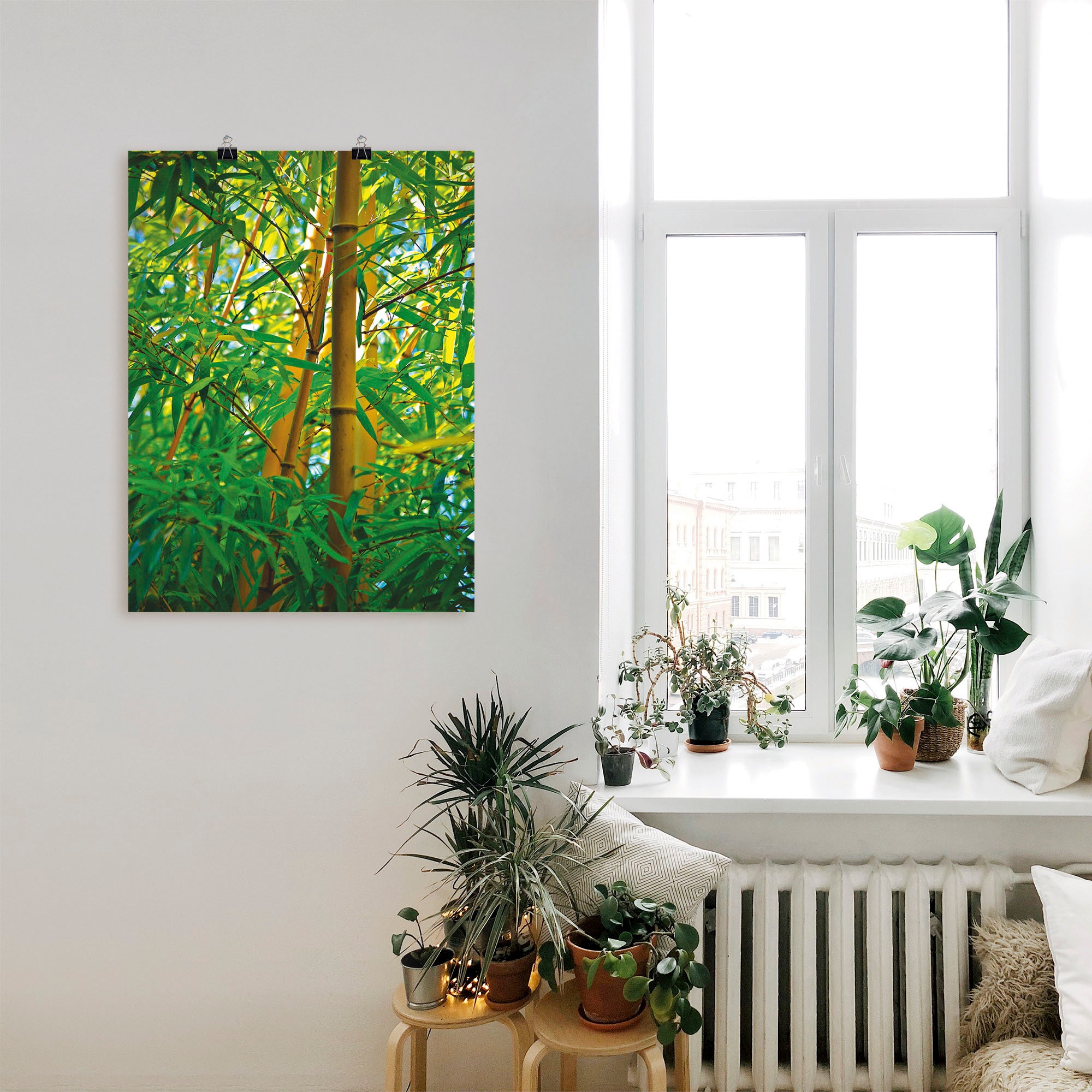 Artland Wandbild »Bambus Nahaufnahmen«, Gräser, (1 St.)