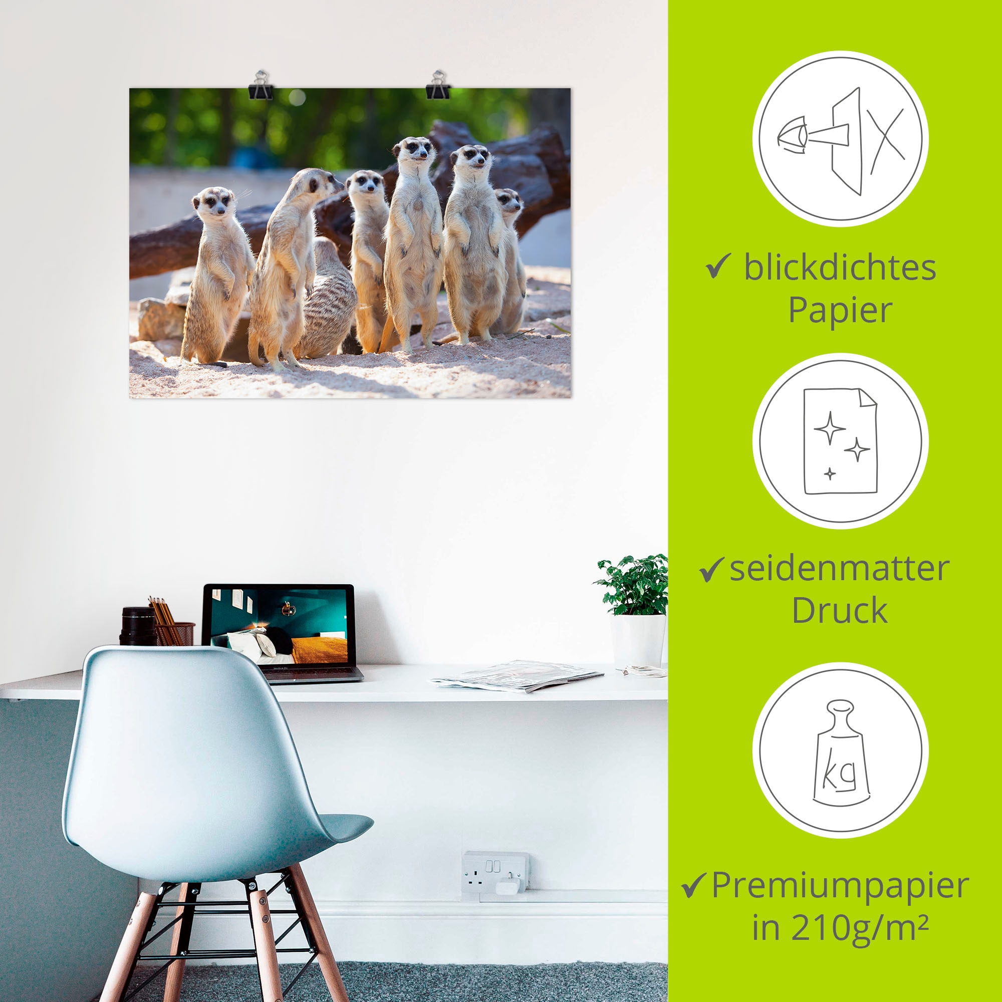 Artland Poster »Erdmännchenfamilie« 1 cuis tlg. ohne Rahmen