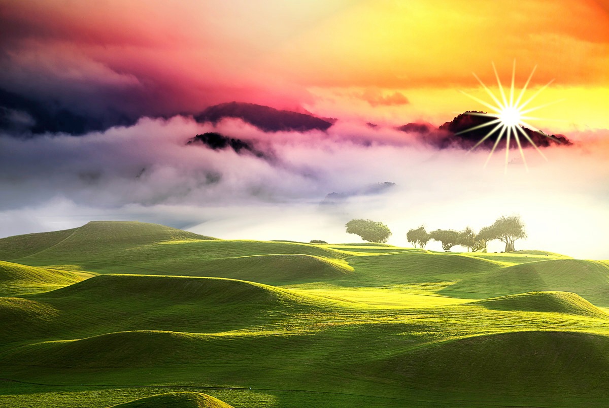 Image of Papermoon Fototapete »Graffiti«, Vliestapete, hochwertiger Digitaldruck, inklusive Kleister bei Ackermann Versand Schweiz