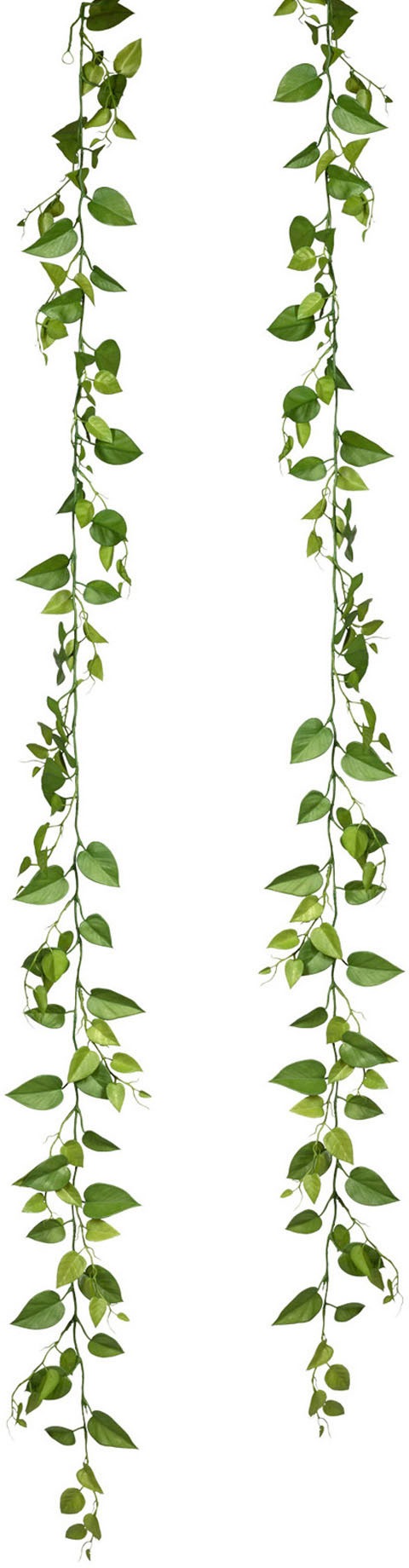 Image of Creativ green Kunstranke »Philoblatt-Girlande«, (2 St.), 2er Set bei Ackermann Versand Schweiz