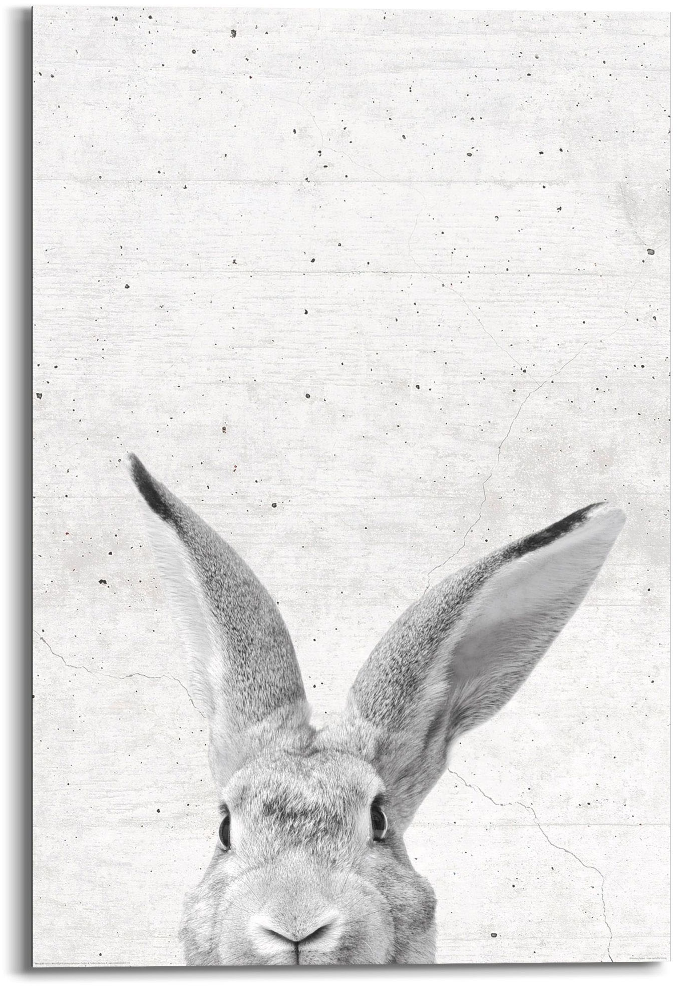 Image of Reinders! Wandbild »Wandbild Kaninchen beobachtet dich Tiermotiv - Hase - Niedlich«, Hasen, (1 St.) bei Ackermann Versand Schweiz