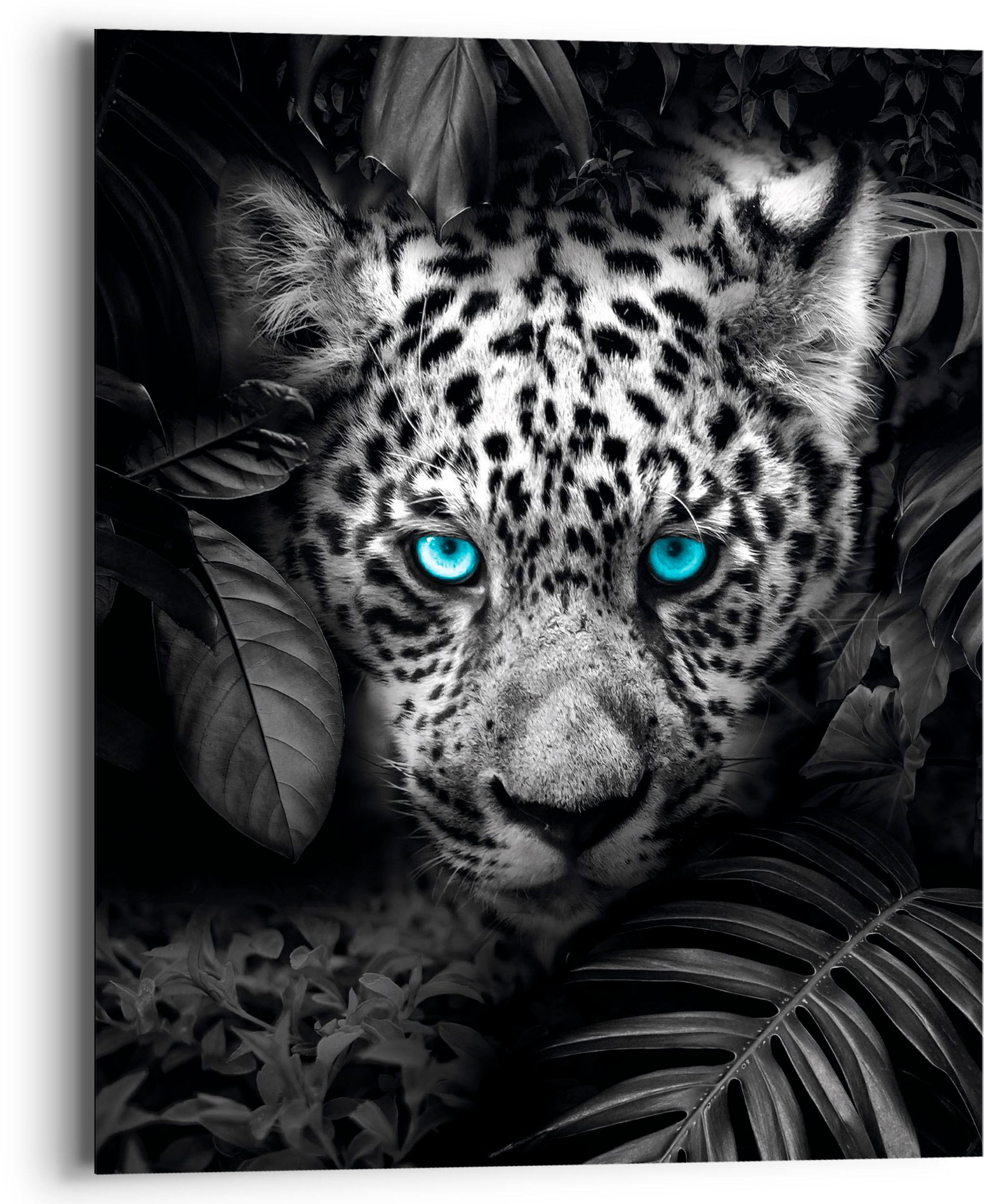 Reinders! Holzbild »Blue kaufen (1 Eyed St.) Leopard«