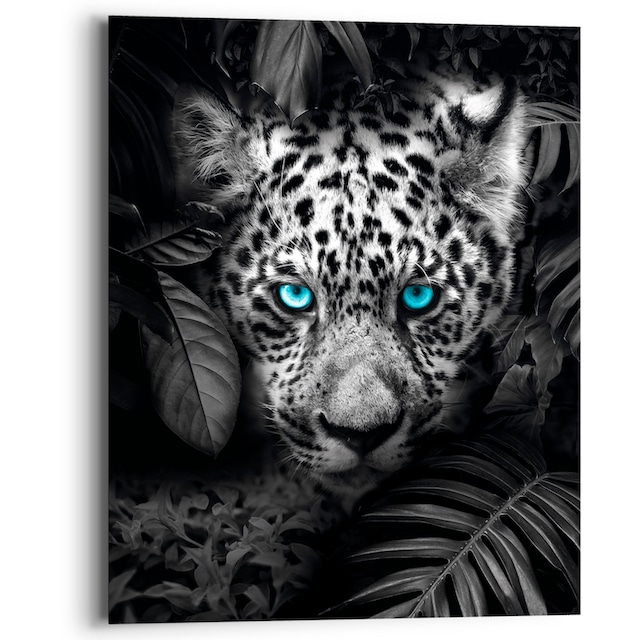 Reinders! Holzbild »Blue Eyed Leopard«, (1 St.) kaufen