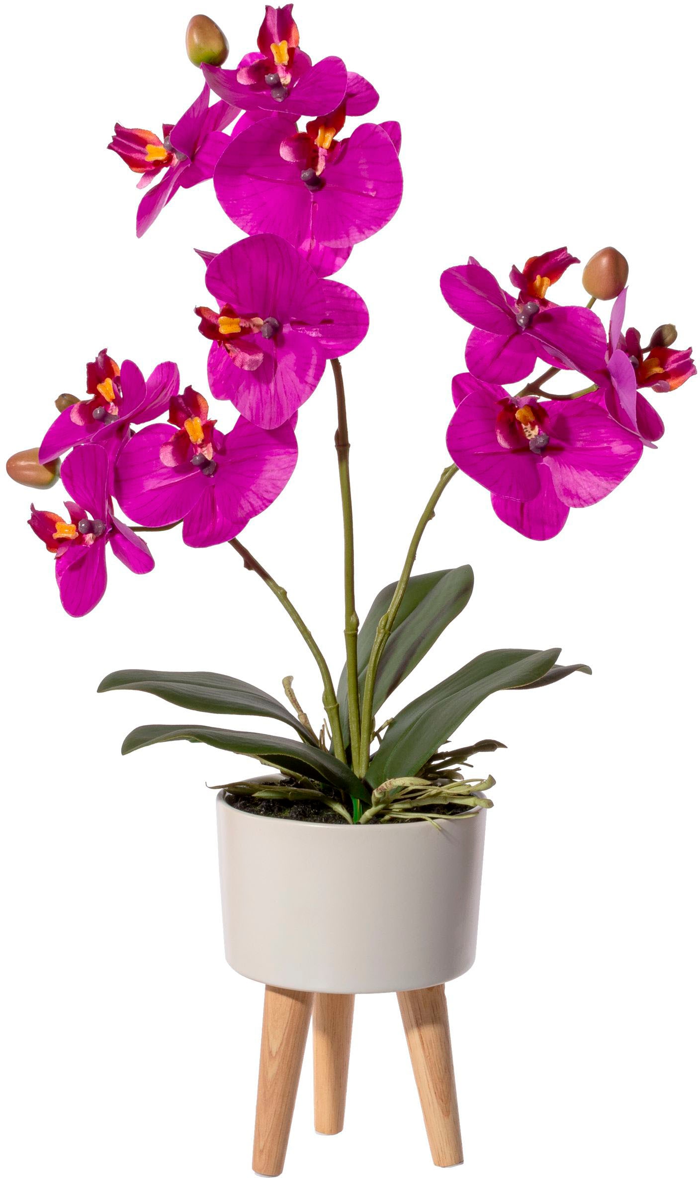 in und »Orchidee auf bequem Creativ Kunstorchidee kaufen green mit Keramikschale«, Füssen Phalaenopsis Real-Touch-Blüten
