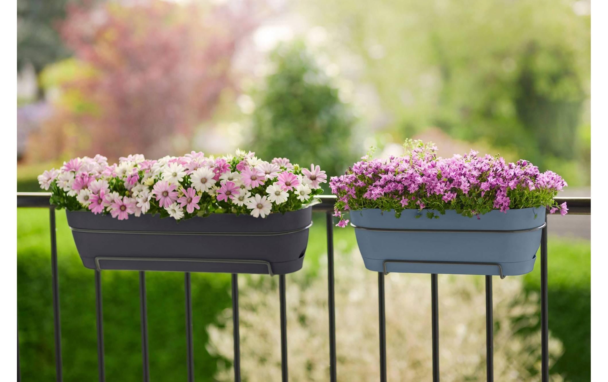 Elho Pot de fleurs »Vibia Campana Balkonkasten Allin1 70 cm«