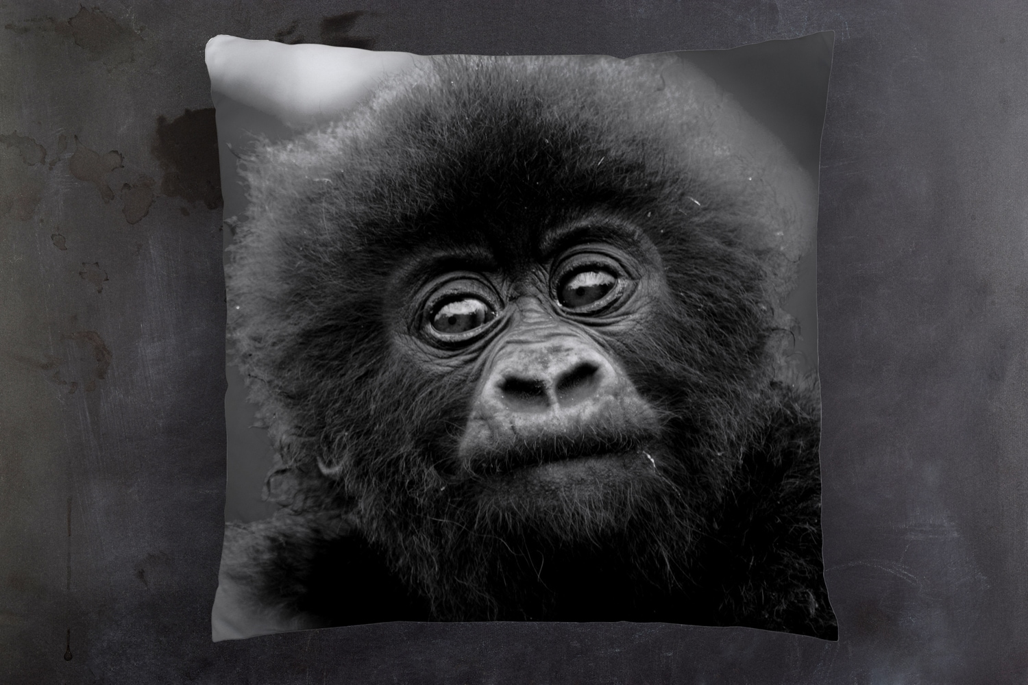 queence Dekokissen »Affen Baby« Kissenhülle mit HD Premium Druck, geruchsneutral, 40x40cm