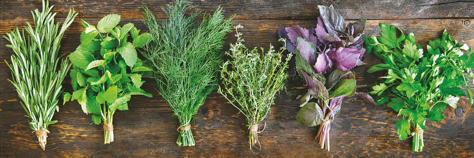 Image of Reinders! Deco-Panel »Kräuter Sträusse« bei Ackermann Versand Schweiz