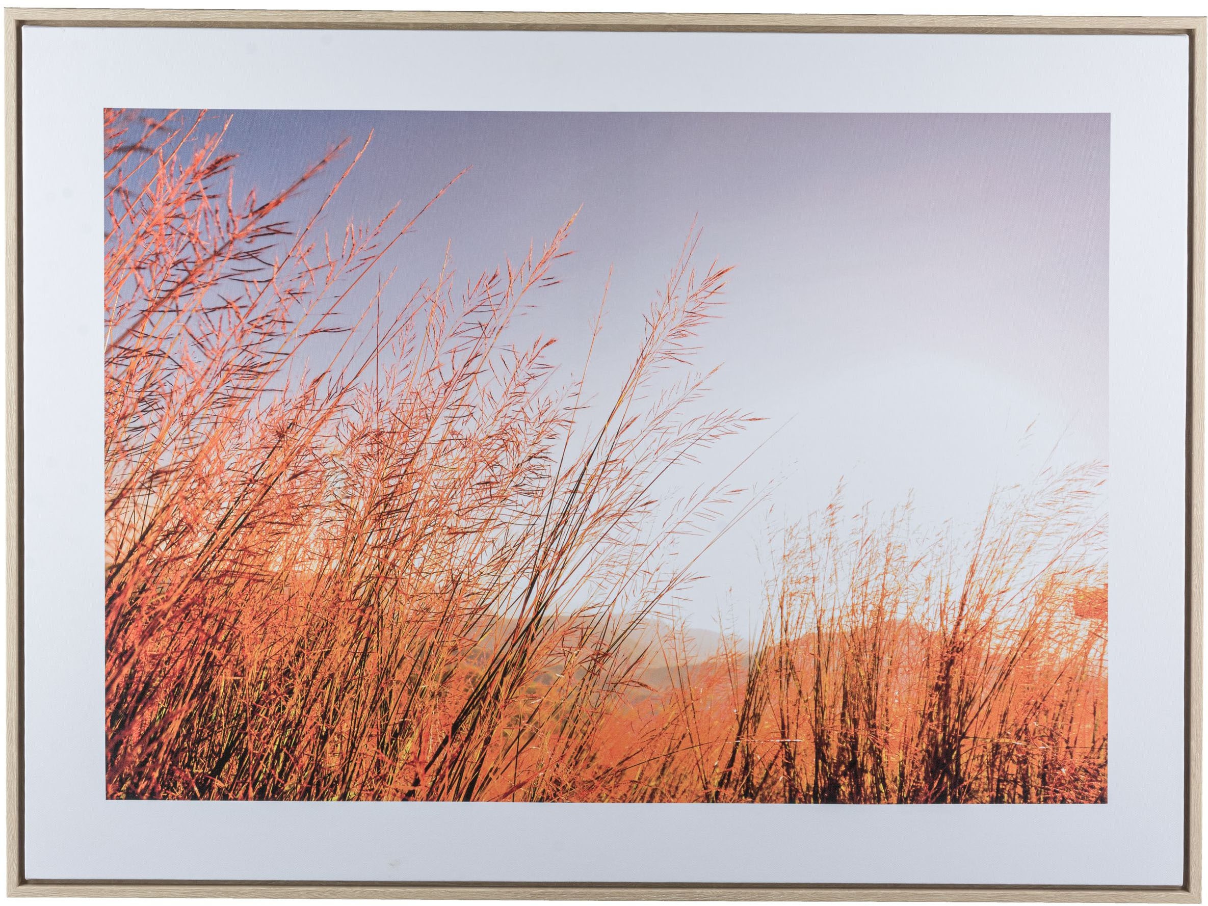 Image of Creativ home Bild mit Rahmen "Wiese" 1 Stk. tlg. mit besonderer Lichtstimmung