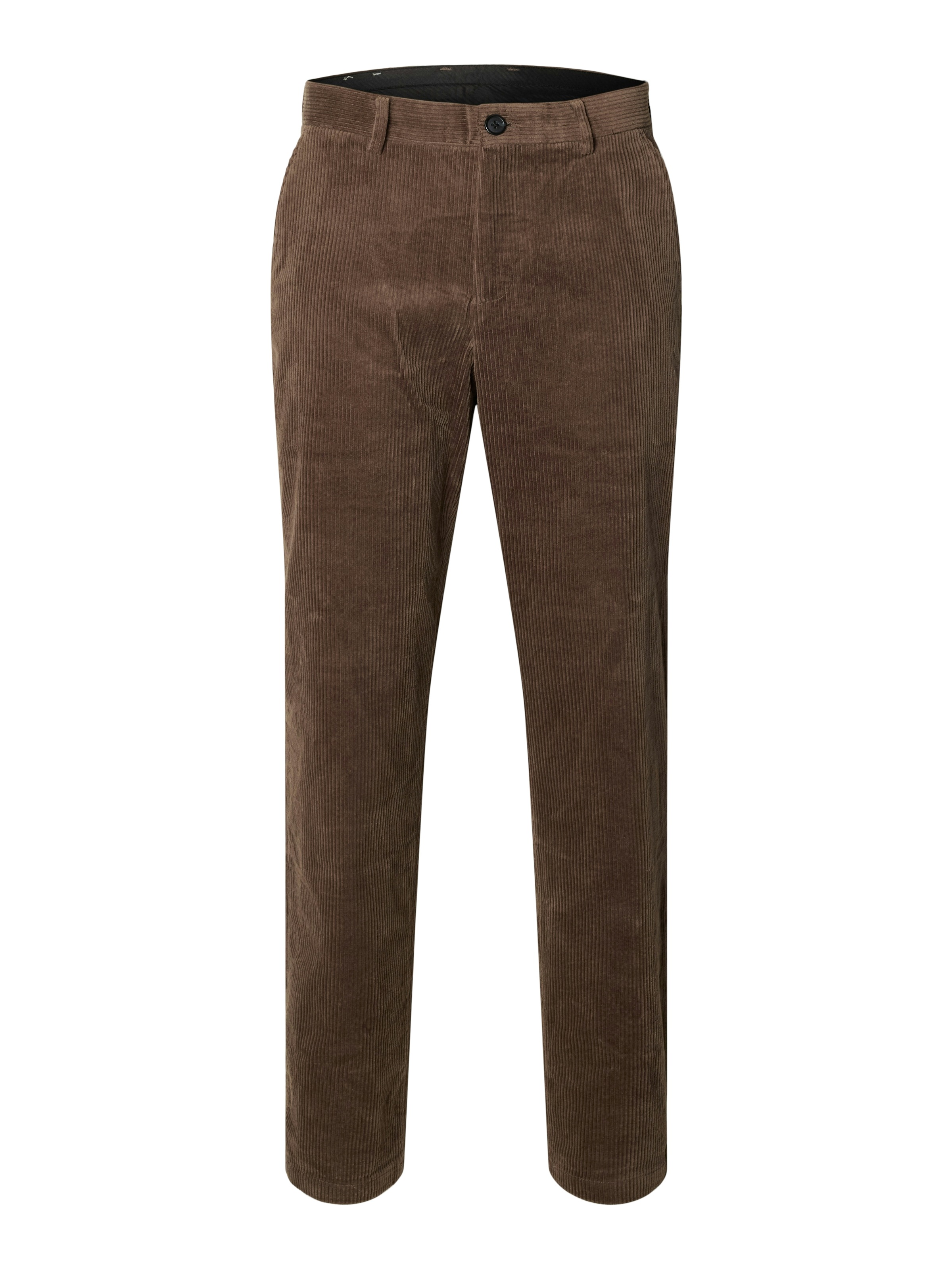 SELECTED Cordhose »SLHREG-TAPERED MATT CORD PANTS«
