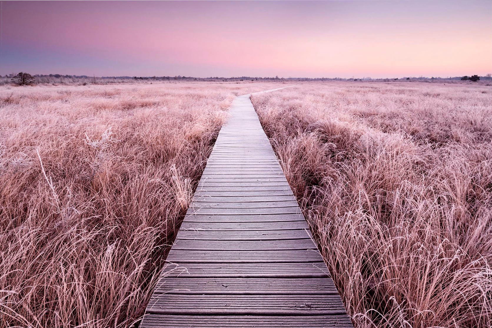 Image of Reinders! Holzbild »Deco Panel 60x90 Winter Moor« bei Ackermann Versand Schweiz