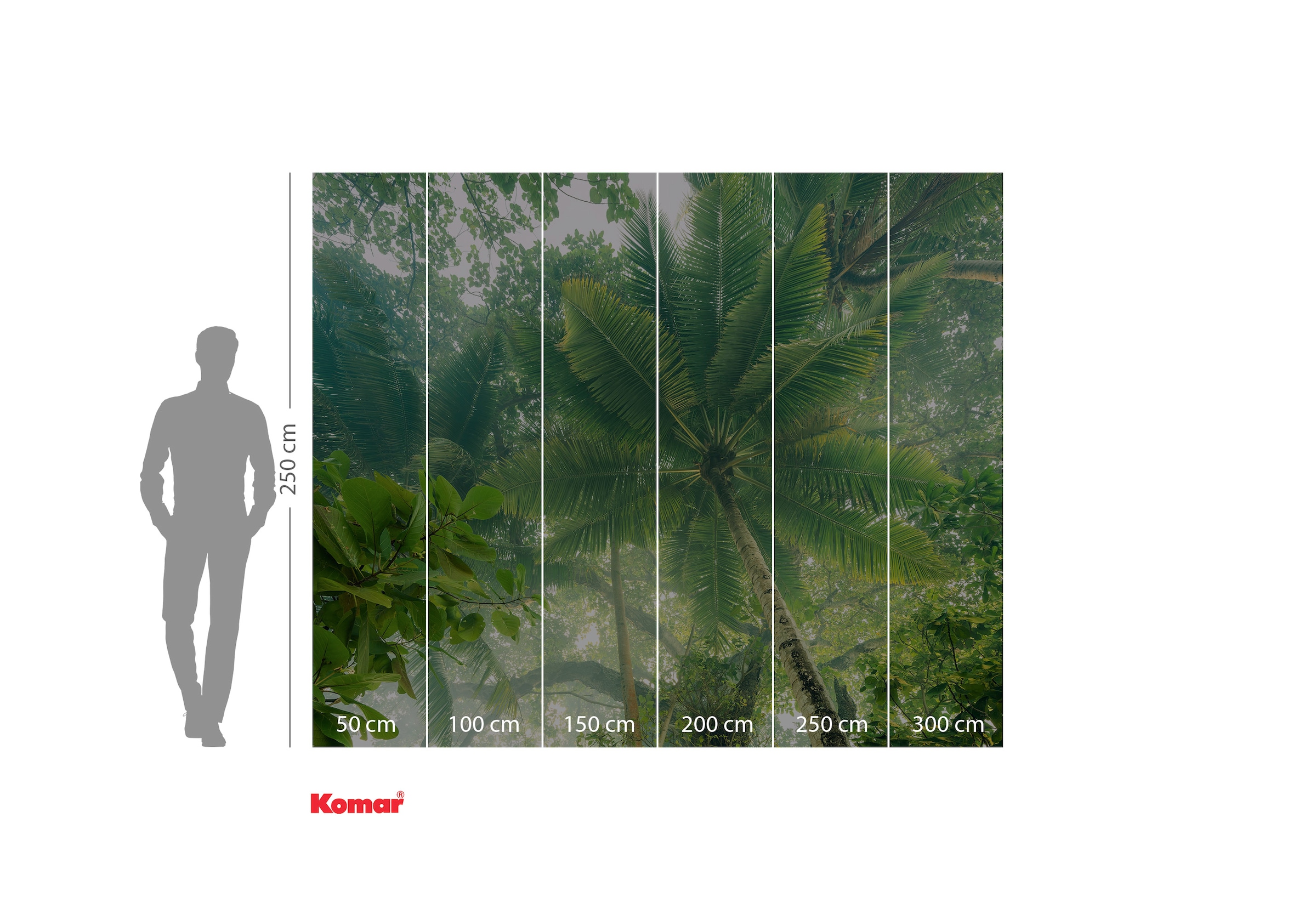 Komar Fototapete »Digitaldruck Vlies - Climber Canopy - Grösse 300 x 250 cm«, bedruckt-floral-geblümt-gemustert-tropisch, Wohnzimmer, Schlafzimmer