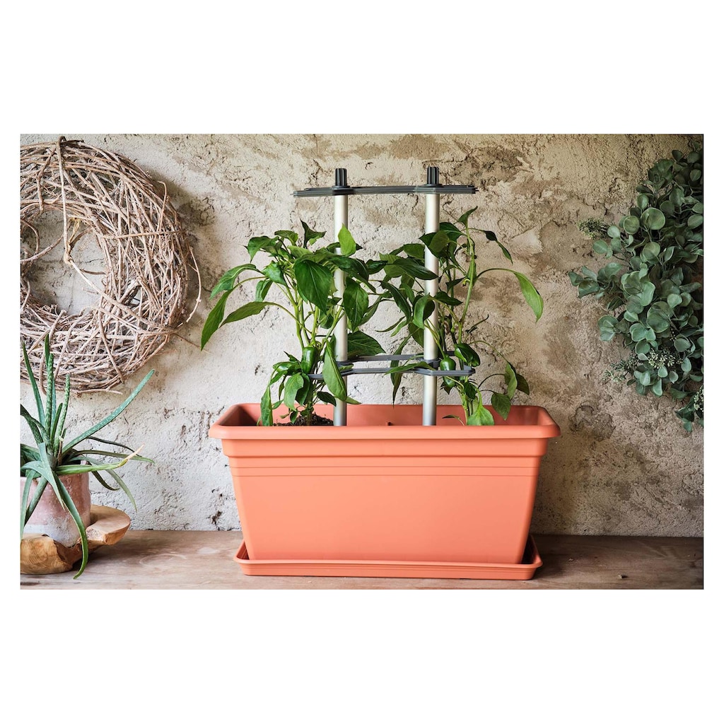 Gusta Garden Rankhilfe »CHILI BUDDY Rankhilfe für Chilis & Paprika Silberfarben«