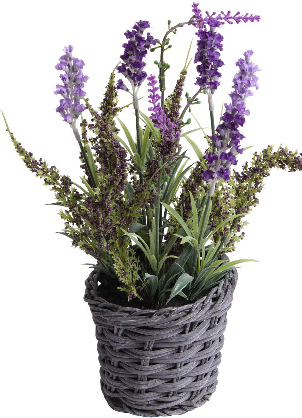 - kaufen »Lavendel im Korb« Erika Künstliche Zimmerpflanze Botanic-Haus Arrangement