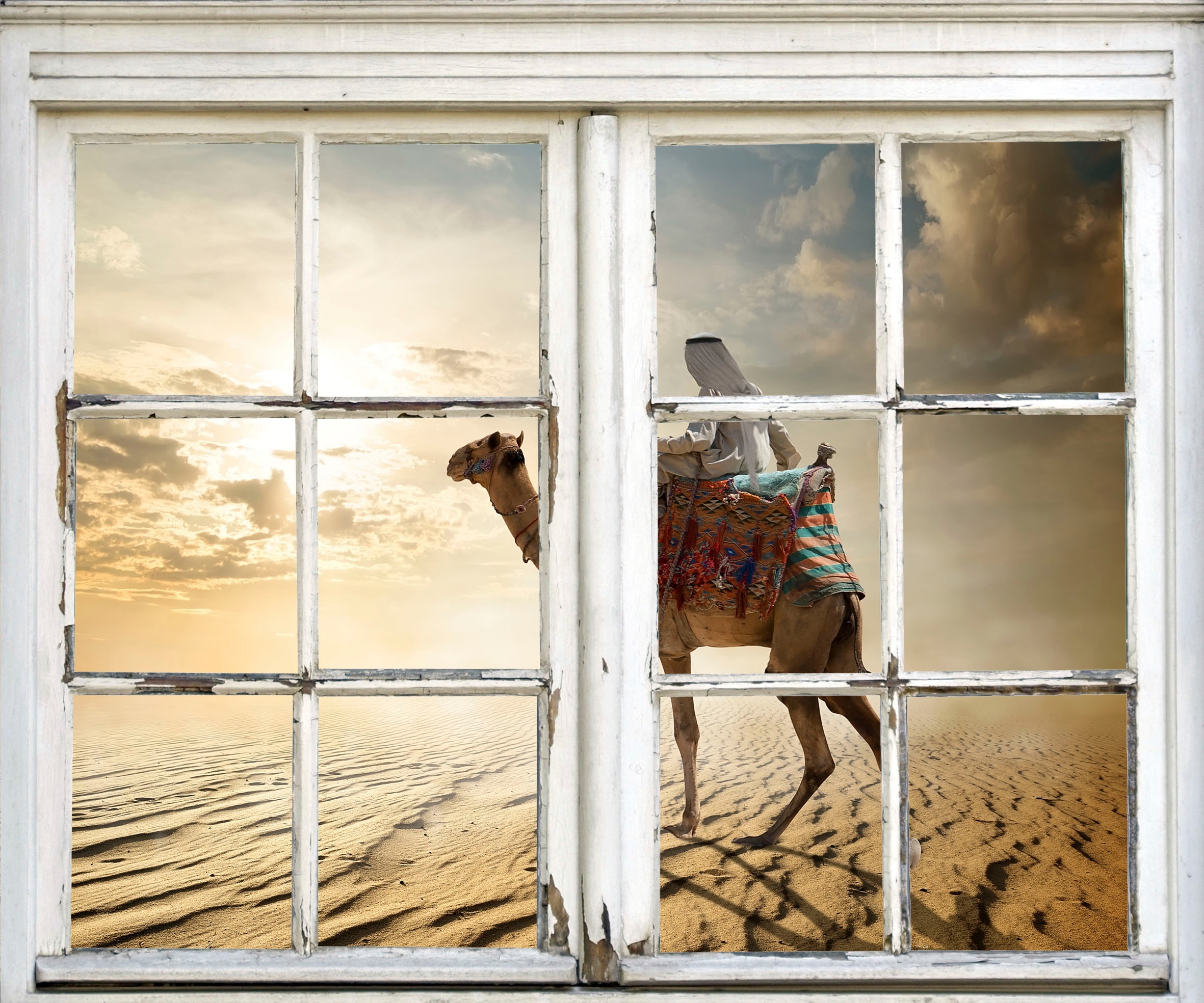 Image of queence Wandsticker "Kamel in Wüste" Wandsticker, Wandbild, selbstklebend, 3D, Fenster