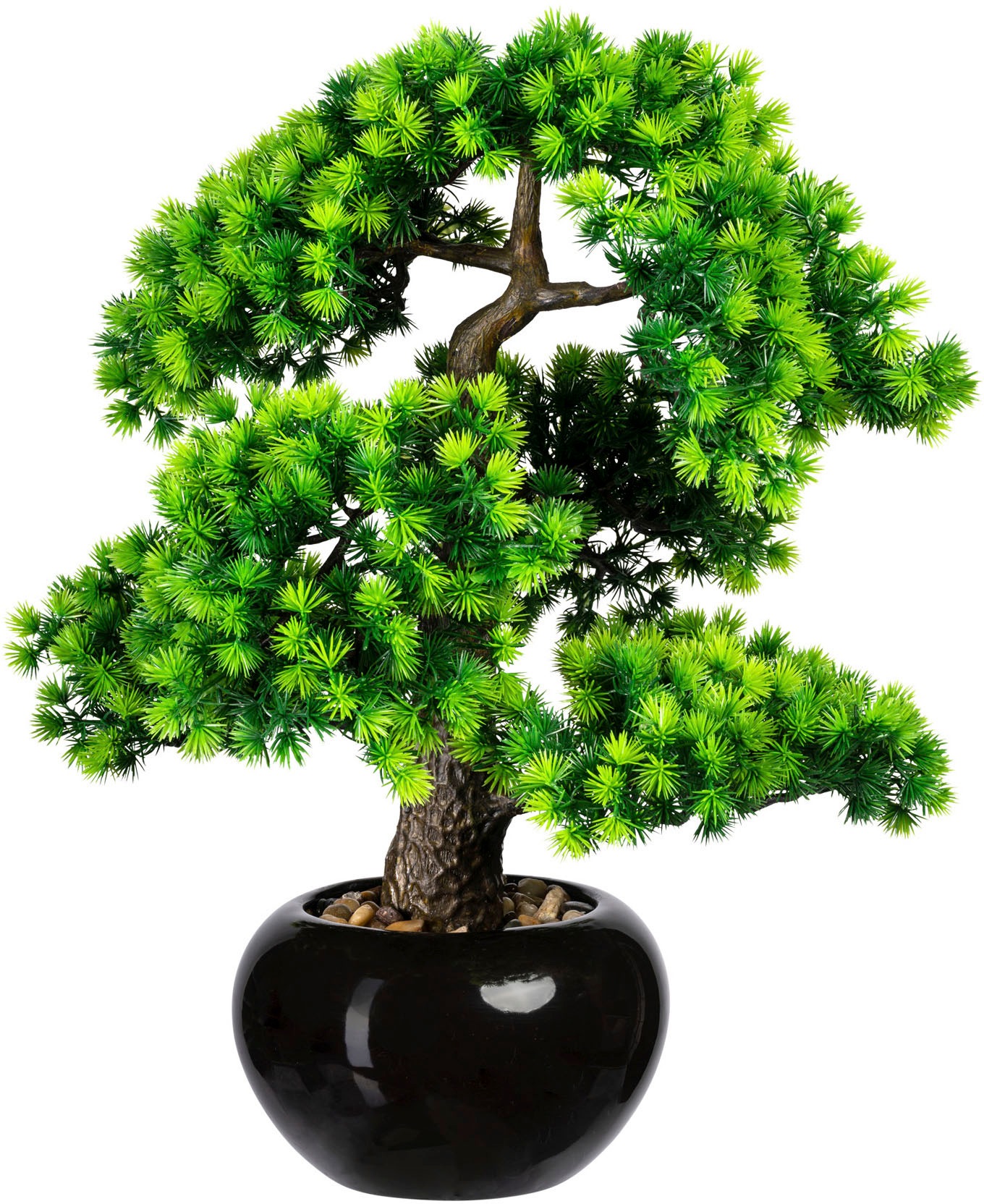 Image of Creativ green Kunstbonsai »Bonsai Lärche«, (1 St.), im Keramiktopf bei Ackermann Versand Schweiz