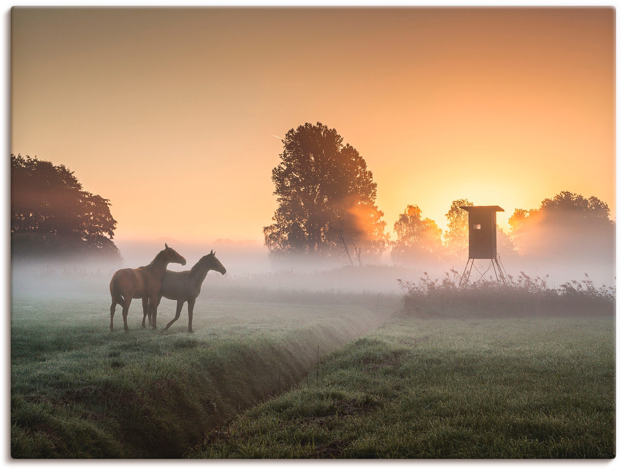 Image of Artland Wandbild »Herbststille«, Haustiere, (1 St.), in vielen Grössen & Produktarten -Leinwandbild, Poster, Wandaufkleber / Wandtattoo auch für Badezimmer geeignet bei Ackermann Versand Schweiz