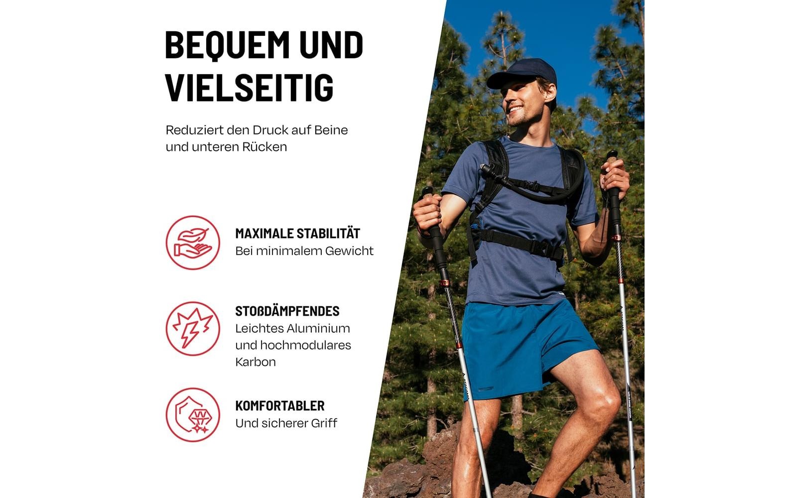   Bâtons de randonnée »Atacama Flip Lock 110-135 cm«