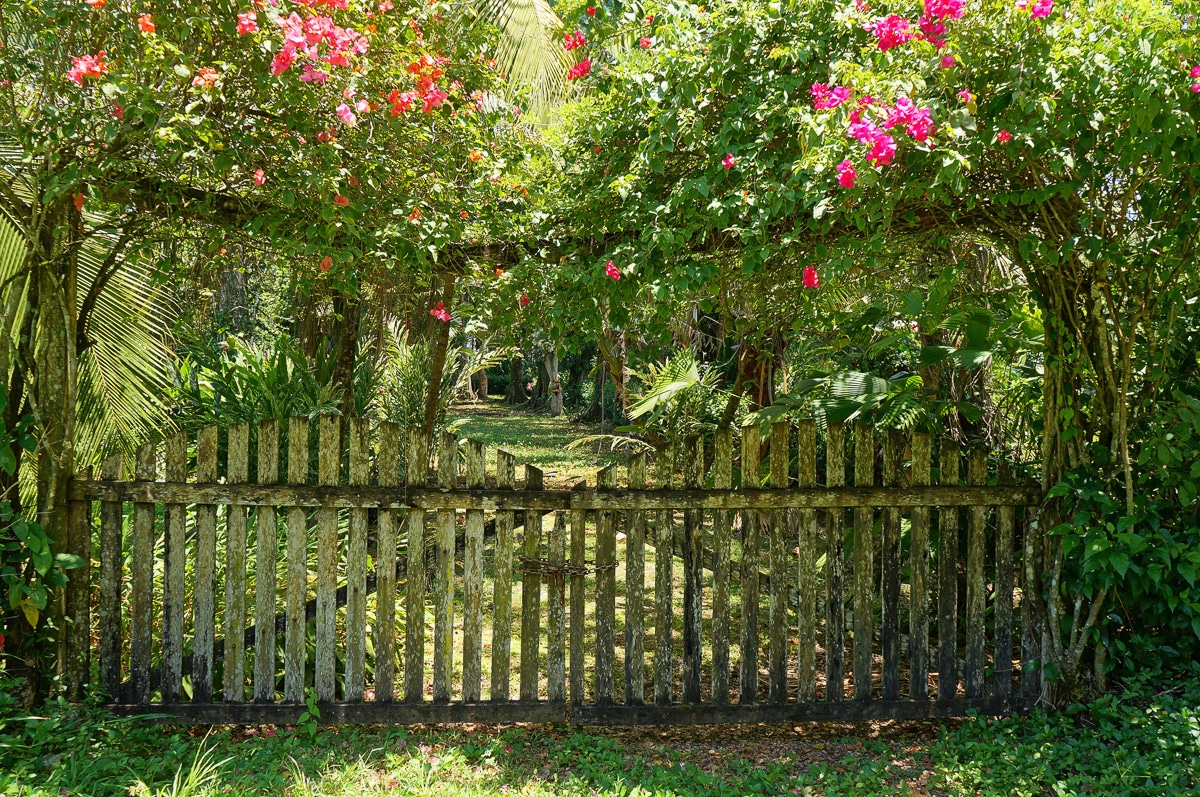 Papermoon Fototapete »Altes Tor«