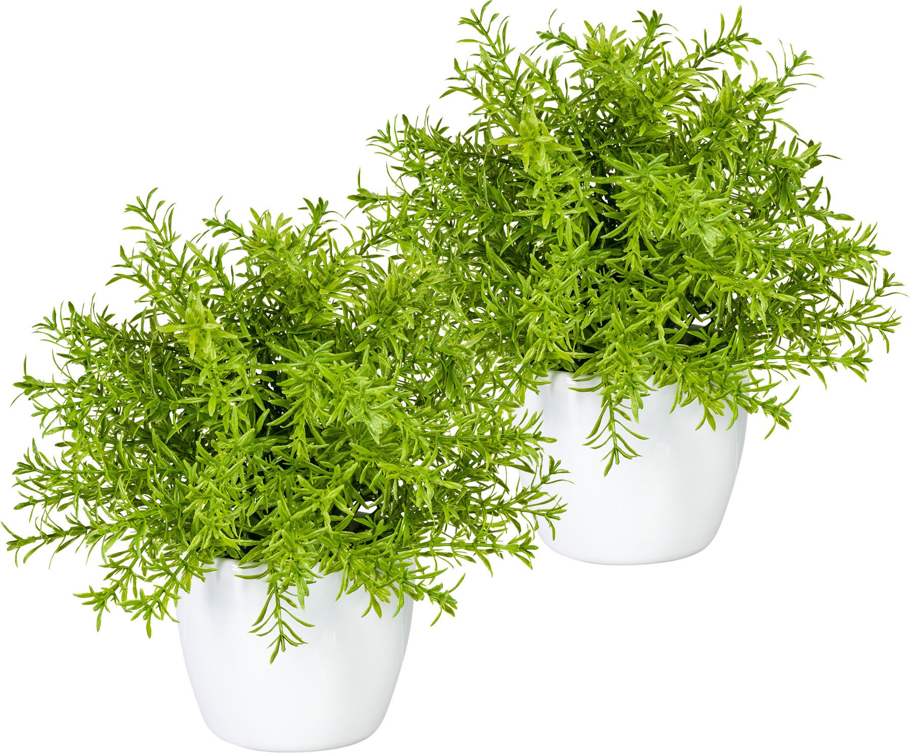 Image of my home Kunstpflanze »Mikail«, (2 St.), im Topf, 2er Set bei Ackermann Versand Schweiz