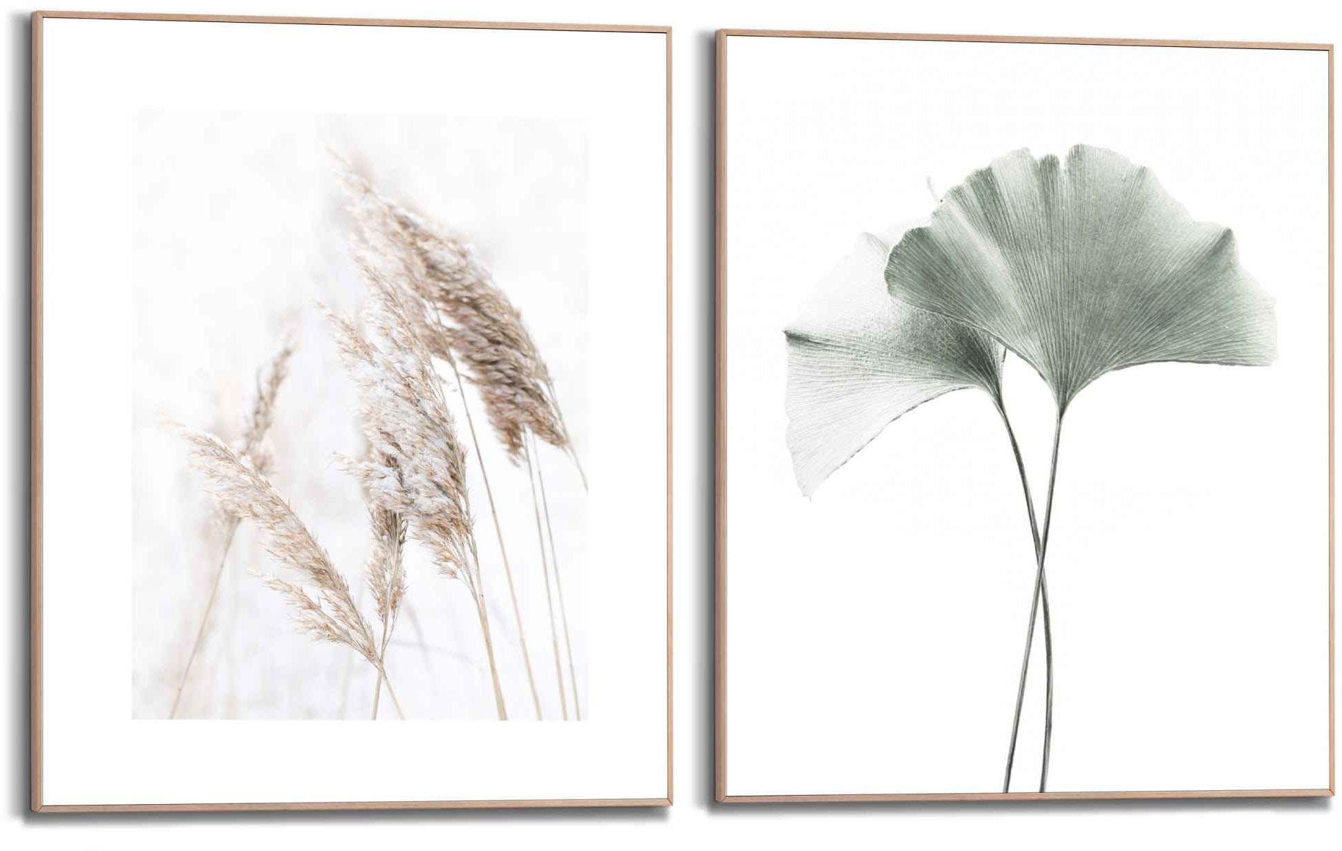 Image of Reinders! Wandbild »Wandbilder Set Botanisch grun Natur - Pflanzen - Ginkgo - Tempelbaum Blatt«, Natur, (2 St.) bei Ackermann Versand Schweiz