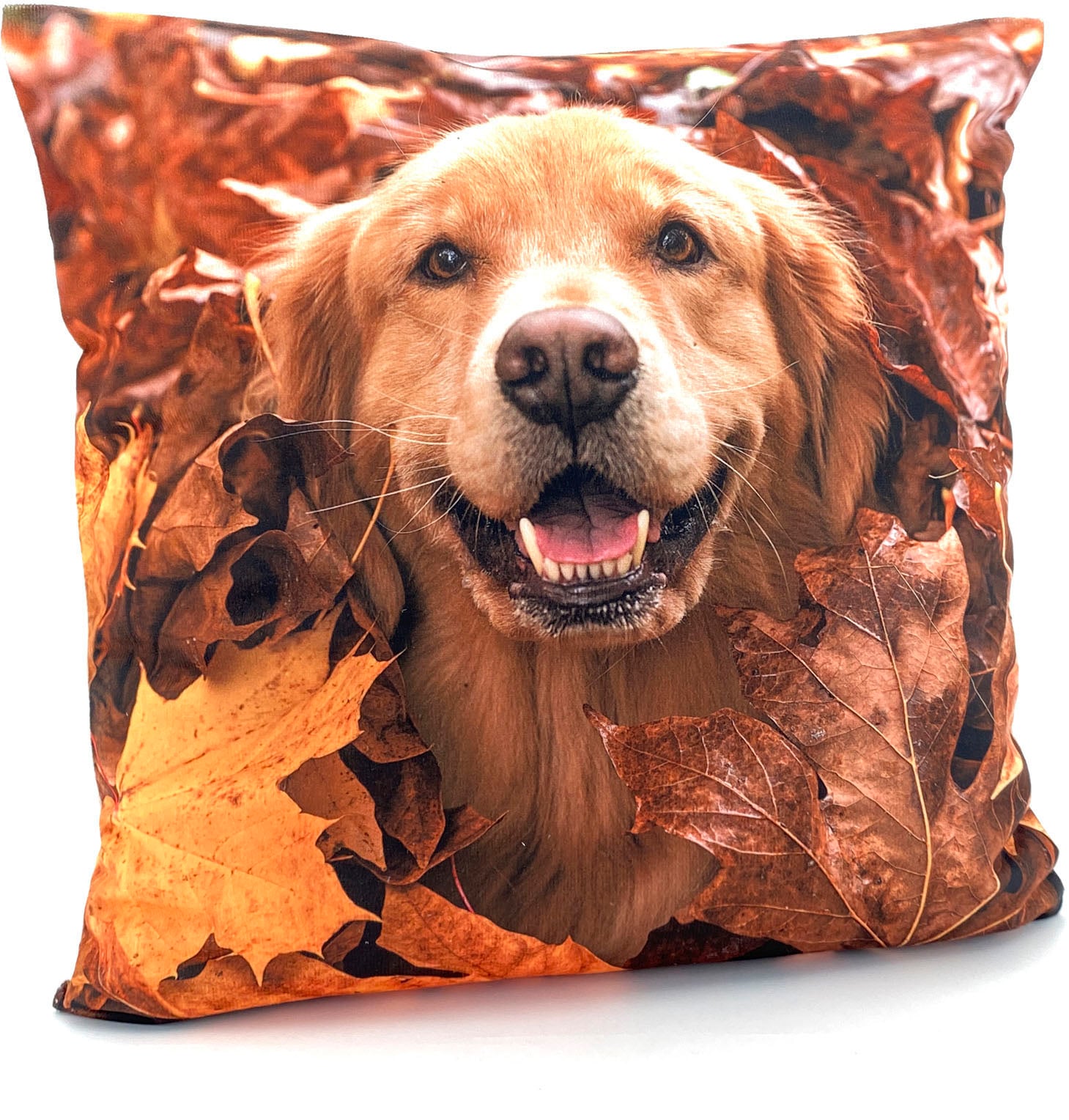 Image of Weckbrodt Dekokissen "Golden Retriever"