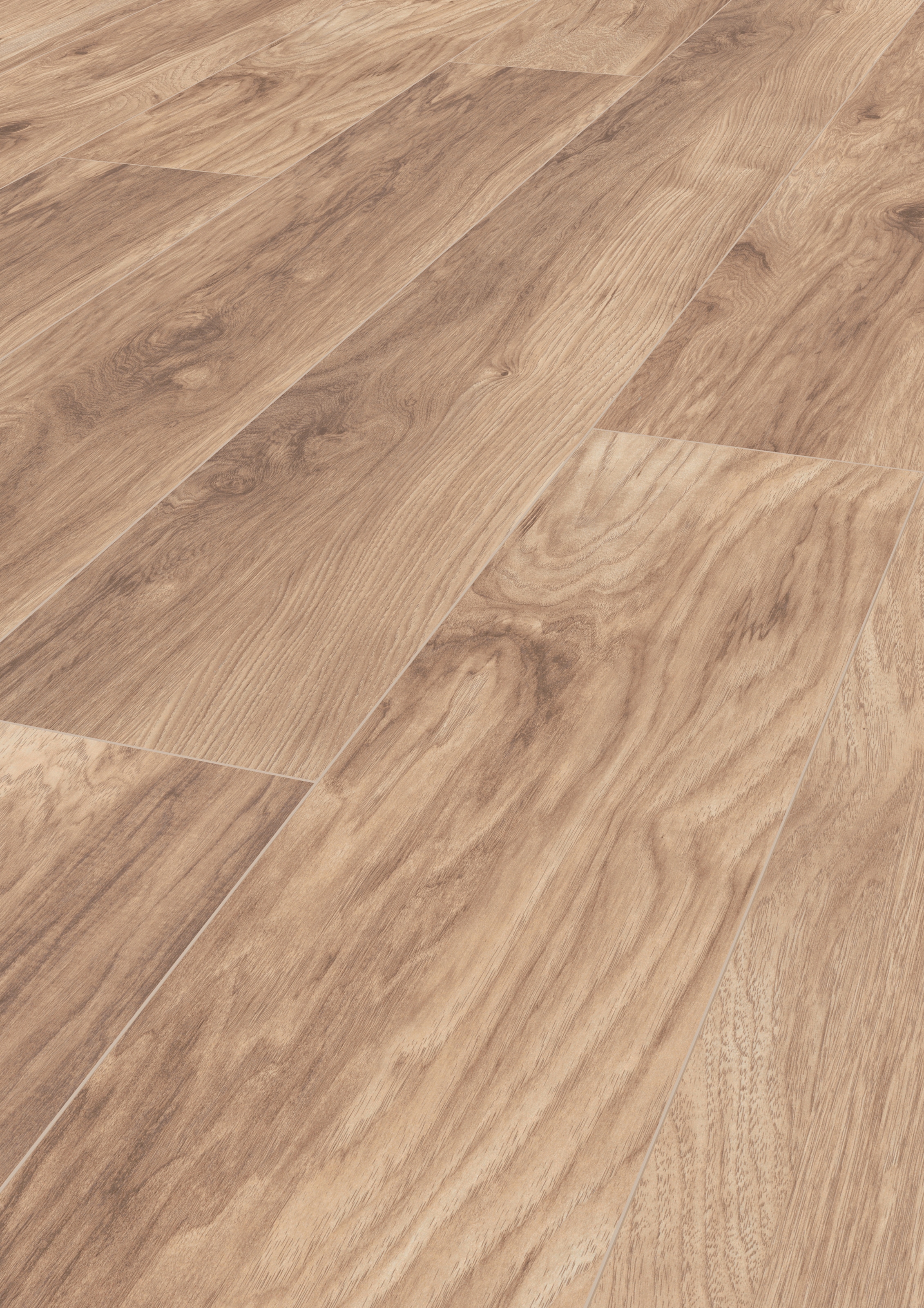 Image of ter Hürne Laminat »Eiche weizenbeige«, mit fühlbarer Oberfläche und Klicksystem bei Ackermann Versand Schweiz