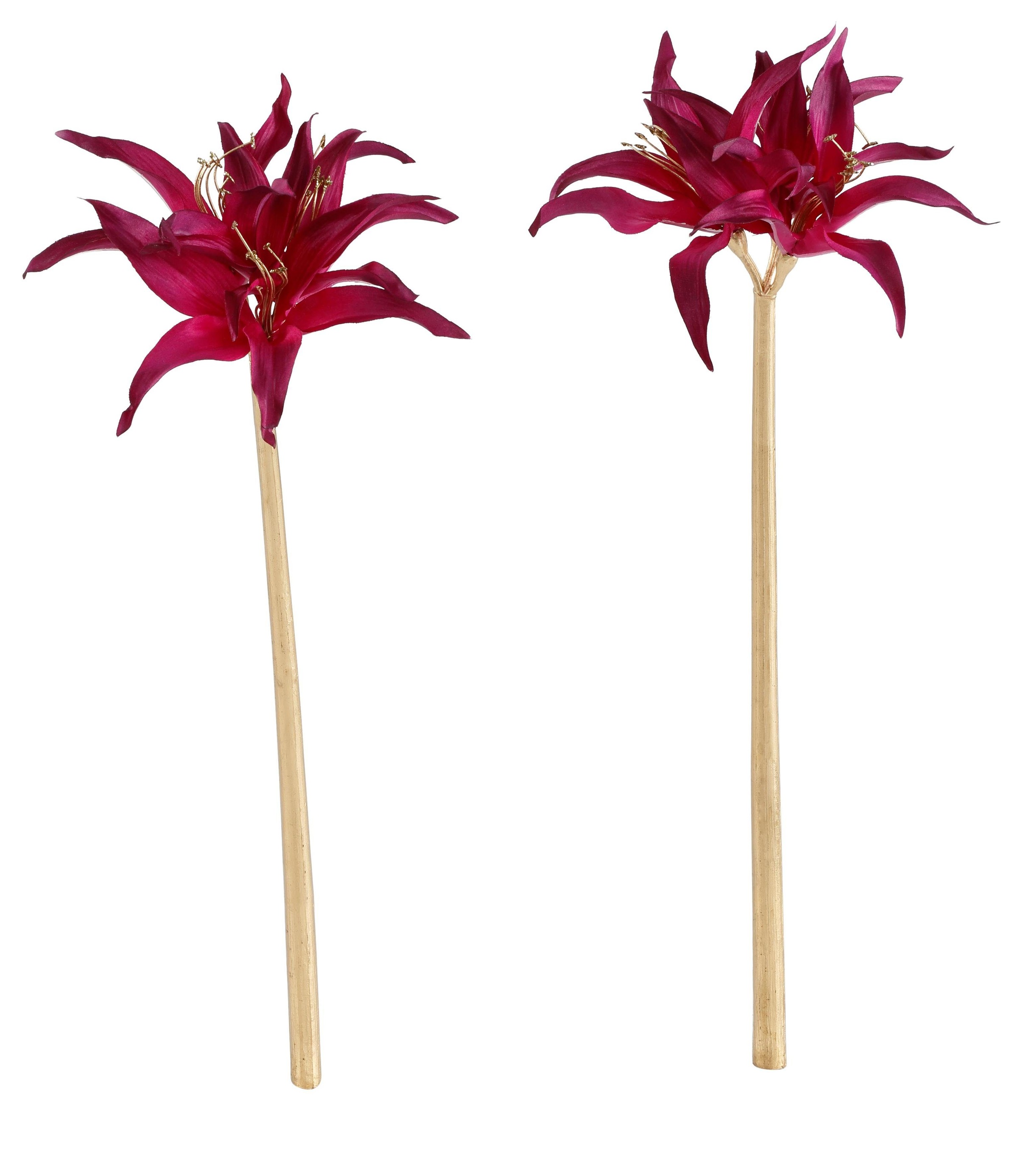Image of Creativ deco Kunstblume »Amaryllis«, (Set, 2 St.) bei Ackermann Versand Schweiz