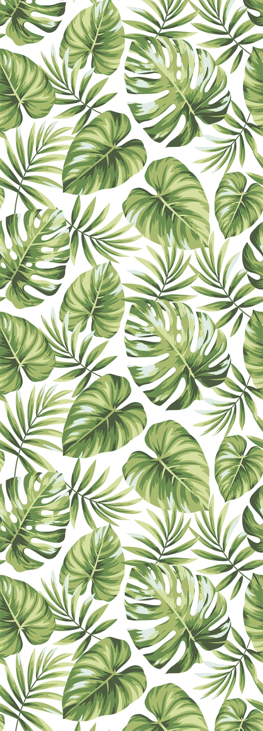 queence Vinyltapete »Tropische Blätter-Grün« Motiv | bedruckt | botanisch | floral | gemustert | natürlich glatt 90x250cm, selbstklebend, kinderleichte Anbringung, , Sticker