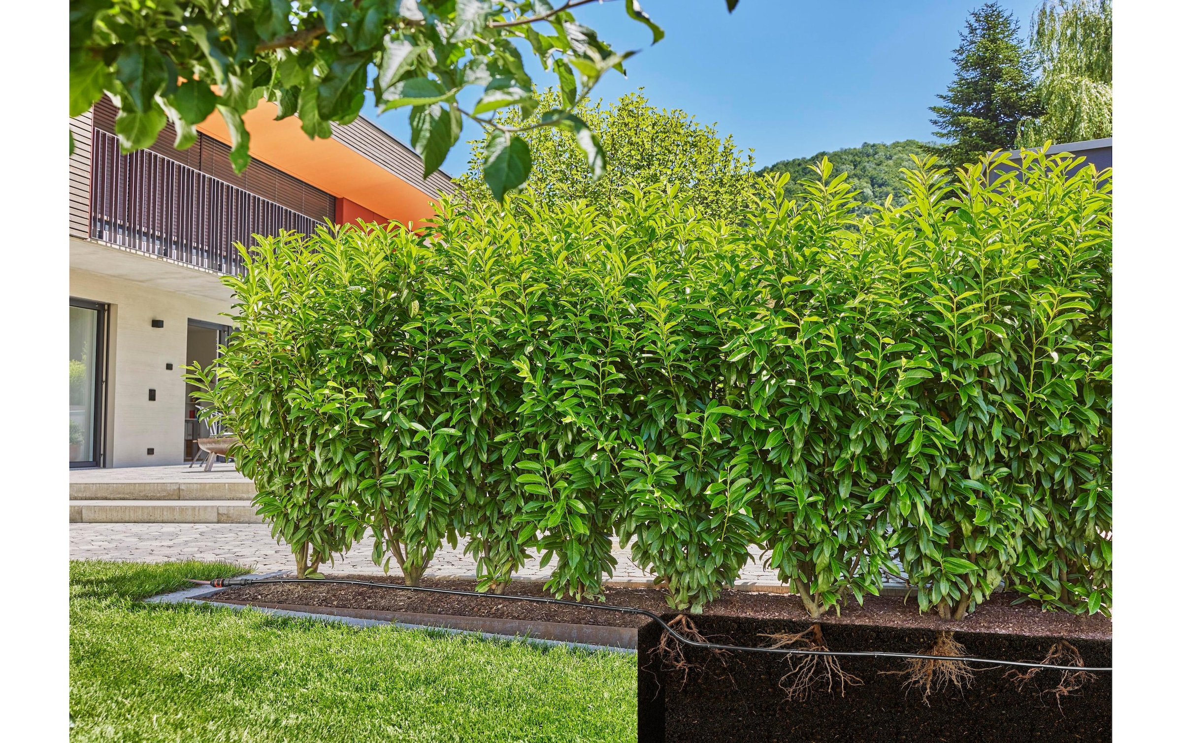 GARDENA Bewässerungssystem »Tropfbewässerung«