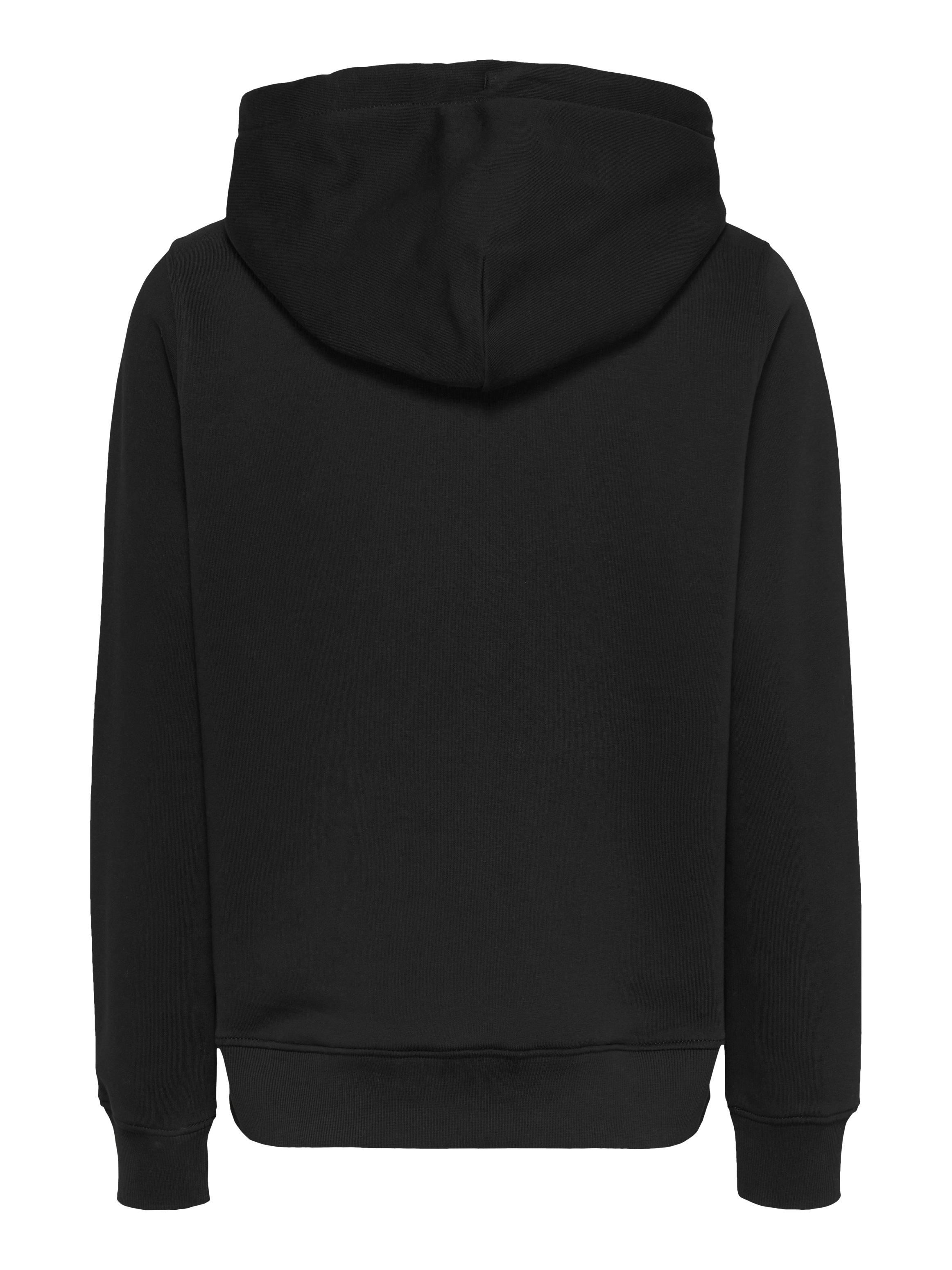 Tommy Jeans Curve Kapuzensweatshirt »TJW REG TONAL LINEAR HOODIE EXT«, in Grossen Grössen, Kapuze, Logostickerei