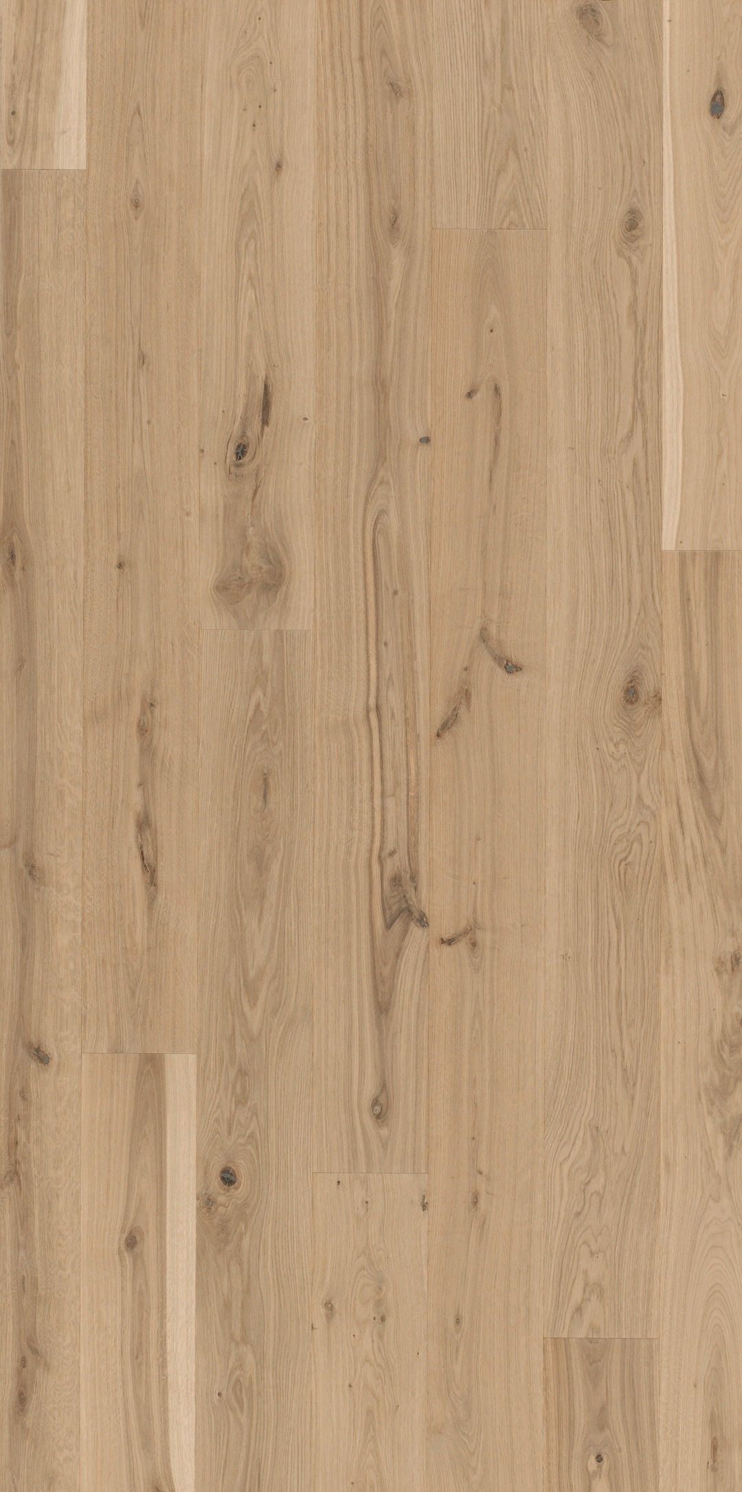 Image of PARADOR Parkett »Basic Rustikal - Eiche, geölt«, (Packung), geoelt, 2200 x 185 mm, Stärke: 11,5 mm, 4,07 m² bei Ackermann Versand Schweiz