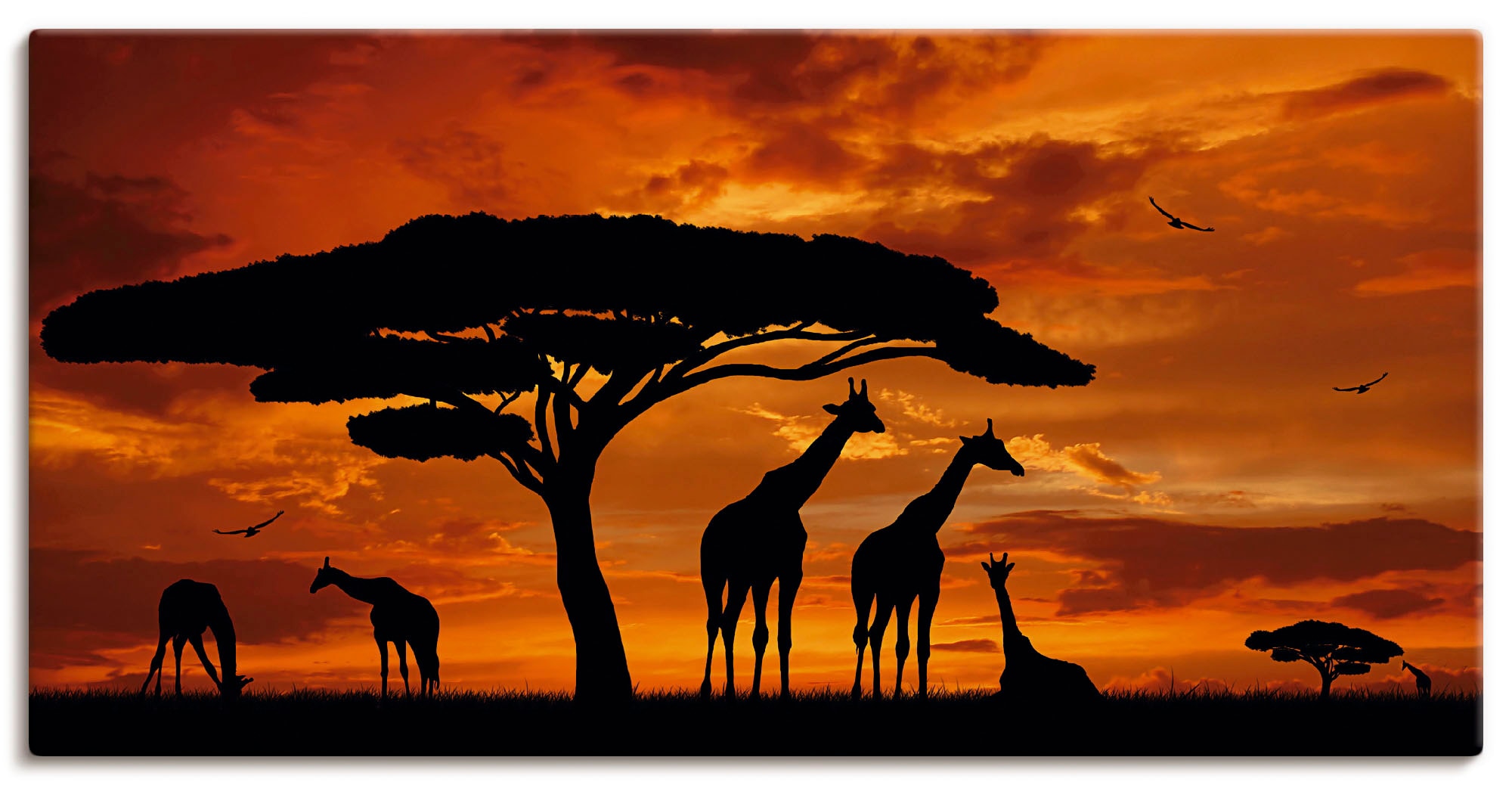 Image of Artland Wandbild "Herde von Giraffen im Sonnenuntergang" Wildtiere 1 Stk. tlg. als Leinwandbild, Poster in verschied. Grössen