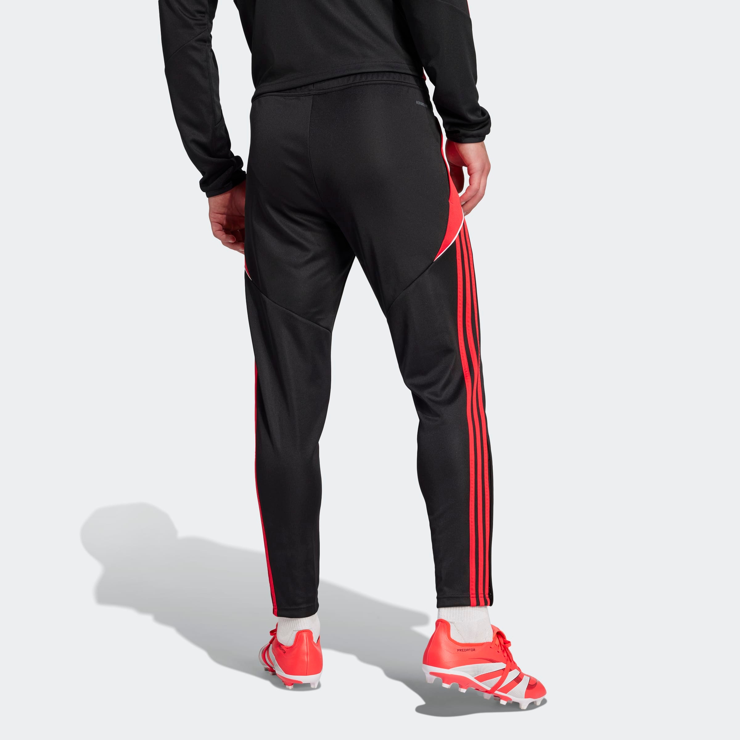 adidas Performance Trainingshose »TIRO24 TRPNT S«, (1 tlg.)