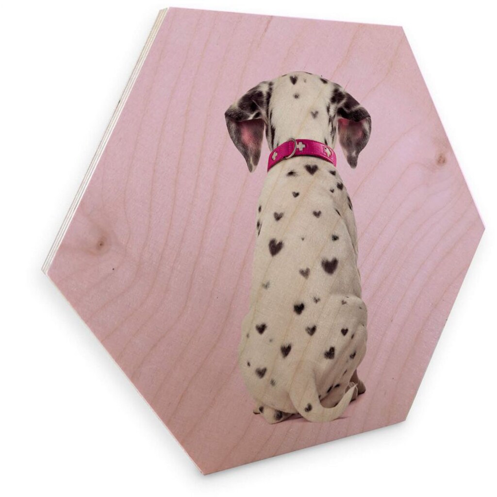 Wall-Art Holzbild »Dalmatiner Holzbild Hunde Bilder«, Tiere, (1 St.)
