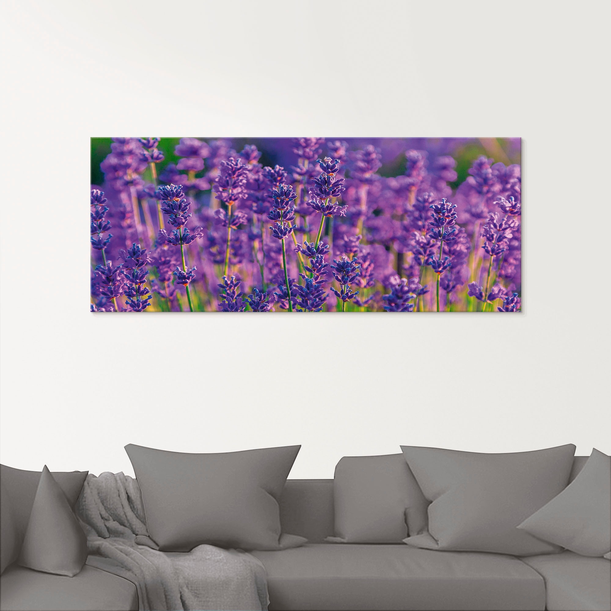 Artland Glasbild »Lavendelfeld in Tihany, Ungarn«, Felder, (1 St.), in verschiedenen Grössen