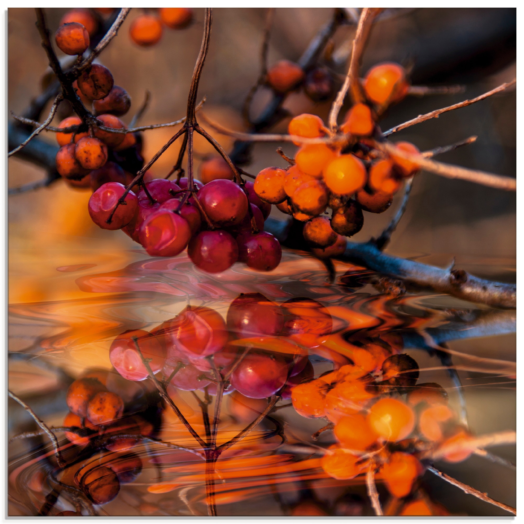 Glasbild »Rote Beeren - Wildbeeren«, Pflanzen, (1 St.), in verschiedenen Grössen