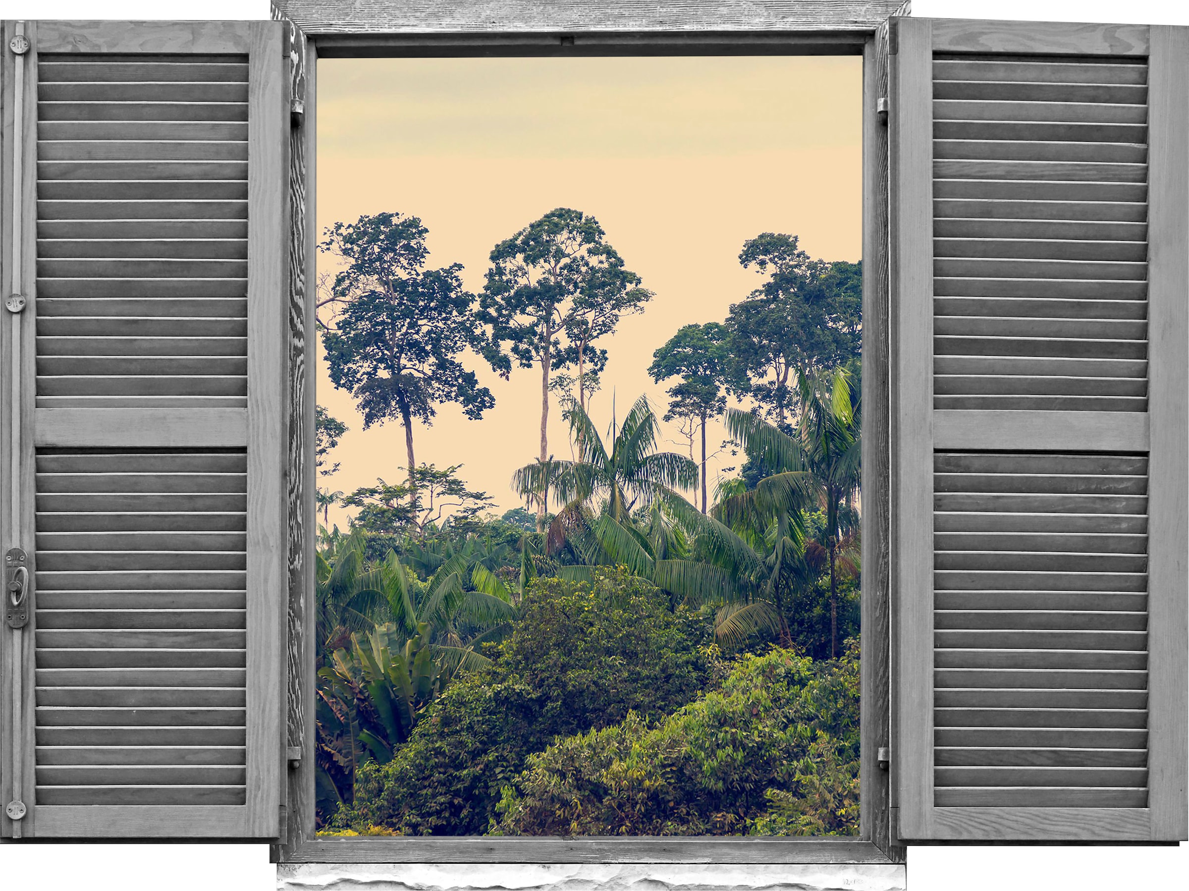Image of queence Wandtattoo "Regenwald" Wandsticker, Wandbild, selbstklebend, 3D, Fenster
