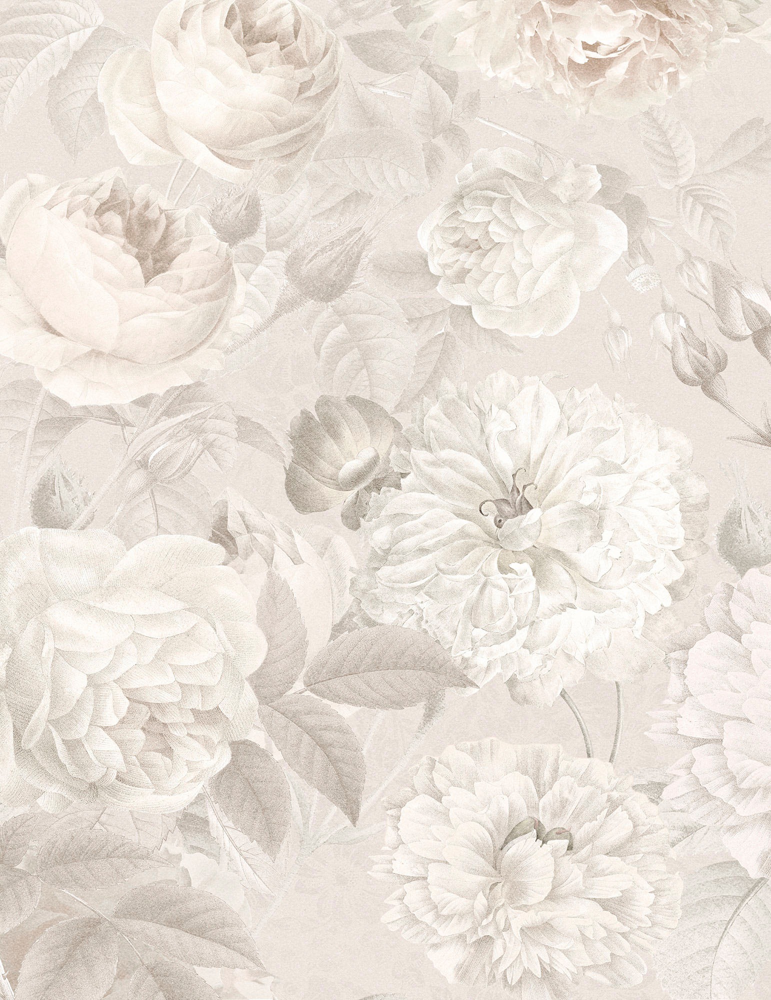 Image of Komar Fototapete »Nuance«, Motiv, Deutsches Qualitätsvlies (155 g/m²). Formstabil, strapazierfähig, geruchsfrei, glatt und umweltfreundlich. FSC®-zertifiziertes Produkt. Bahnbreite 50 cm. bei Ackermann Versand Schweiz