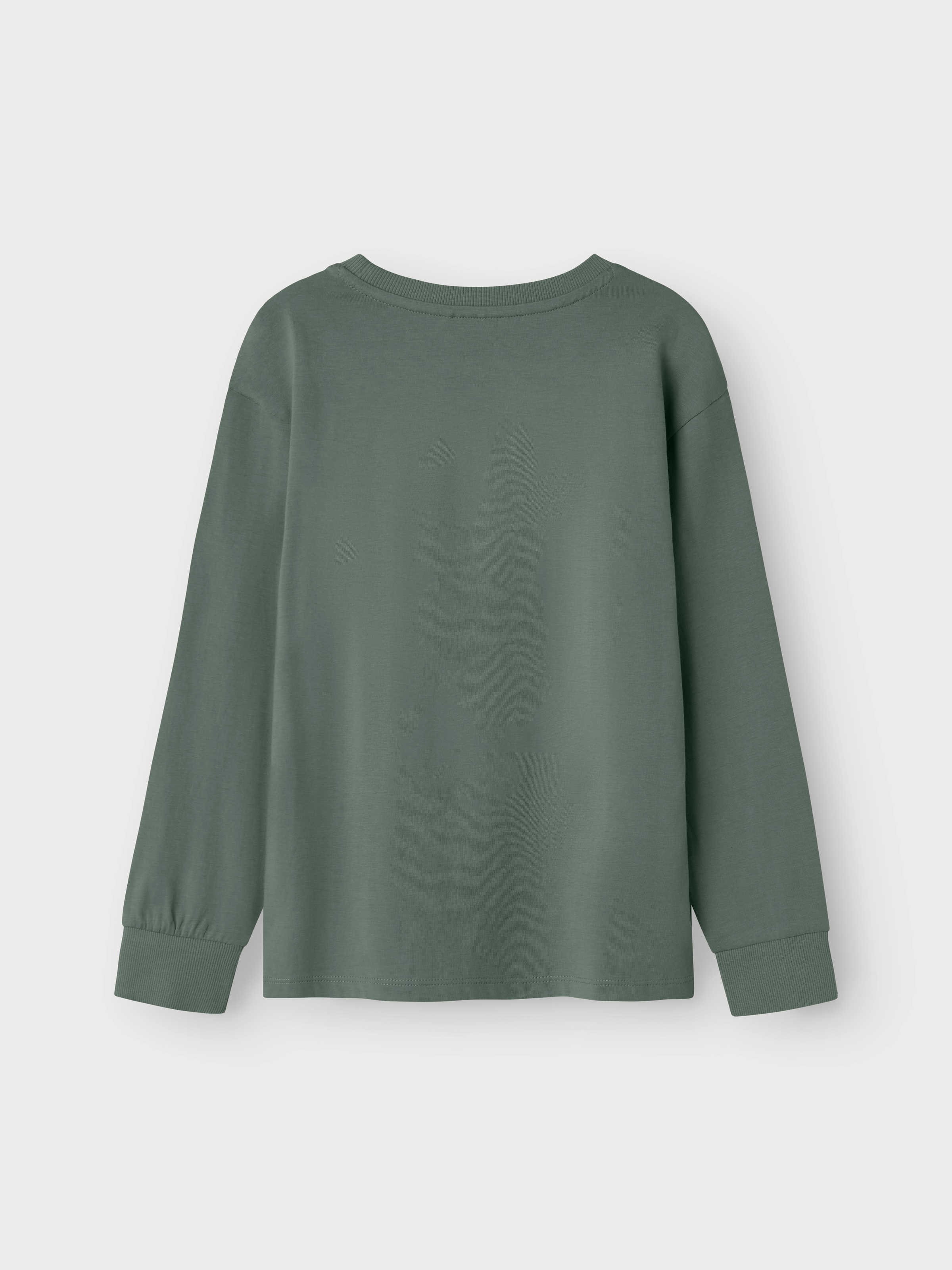 Name It Langarmshirt »NKMOBAY LS NREG TOP PB«