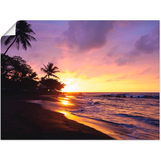 Artland Wandbild »Tropischer Strand«, Sonnenaufgang & -untergang, (1 St.),  als Alubild, Leinwandbild, Wandaufkleber oder Poster in versch. Grössen  bequem kaufen