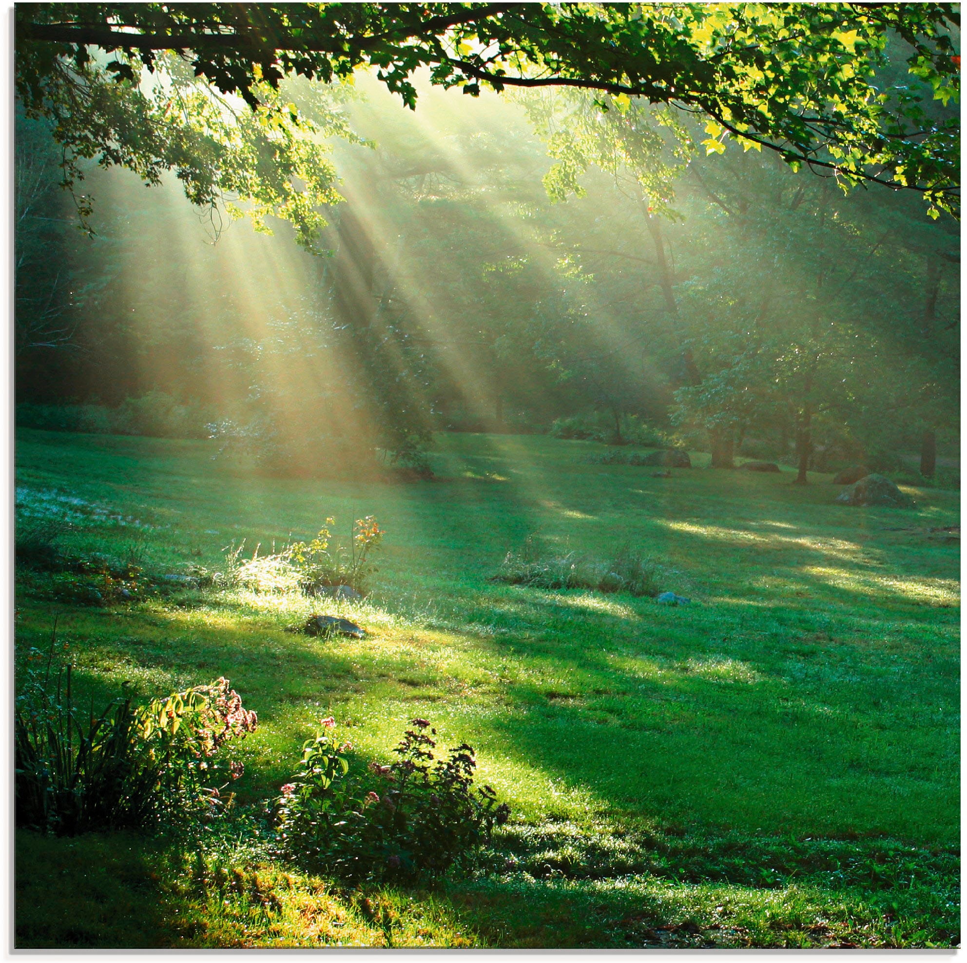 Image of Artland Glasbild "Lichtkegel" Wald 1 Stk. tlg. in verschiedenen Grössen