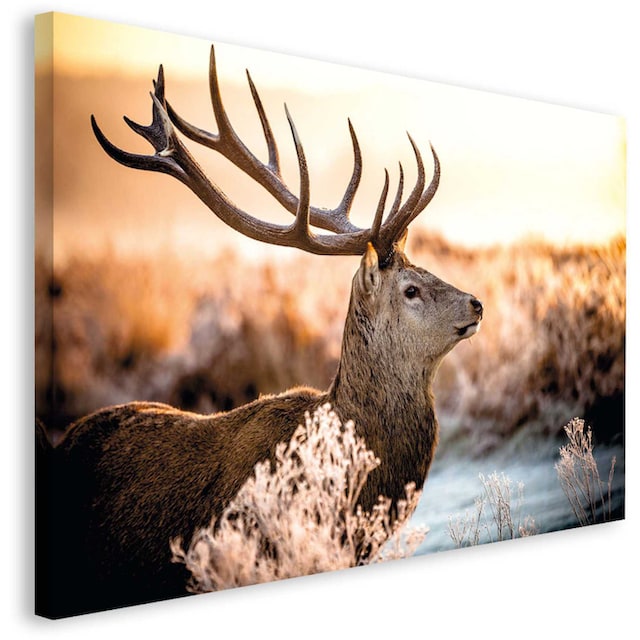 Reinders! Deco-Panel »Hirsch im Wald«, 118/70 cm acheter confortablement