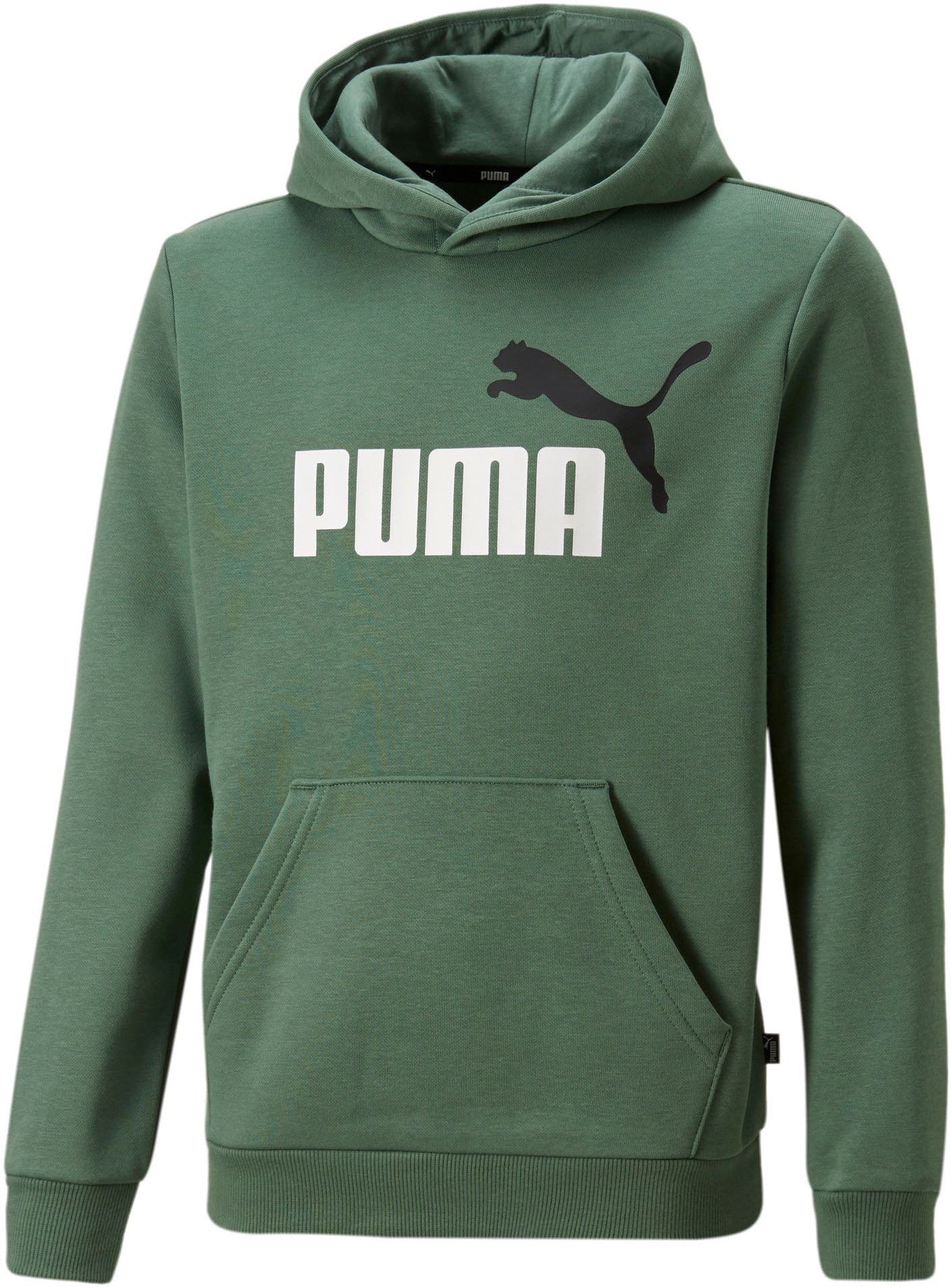 Image of PUMA Kapuzensweatshirt »ESS+ 2 Col Big Logo Hoodie FL B« bei Ackermann Versand Schweiz